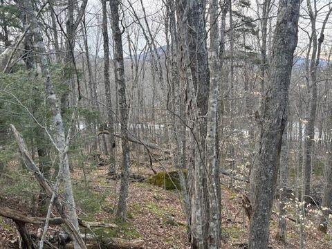 Lot 8 Barrows Towne Road Killington VT 05751