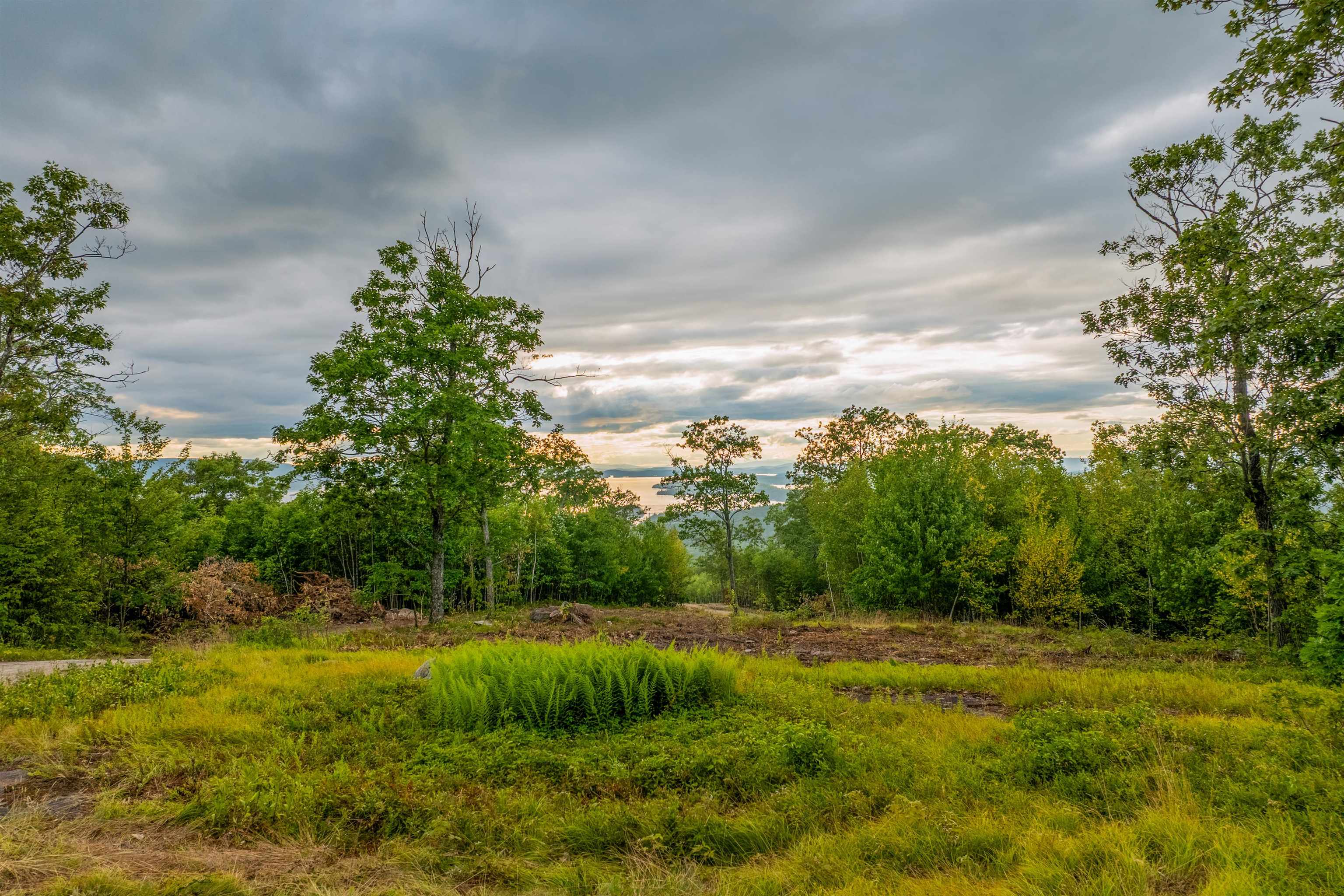 0 Long Stack Lane 55