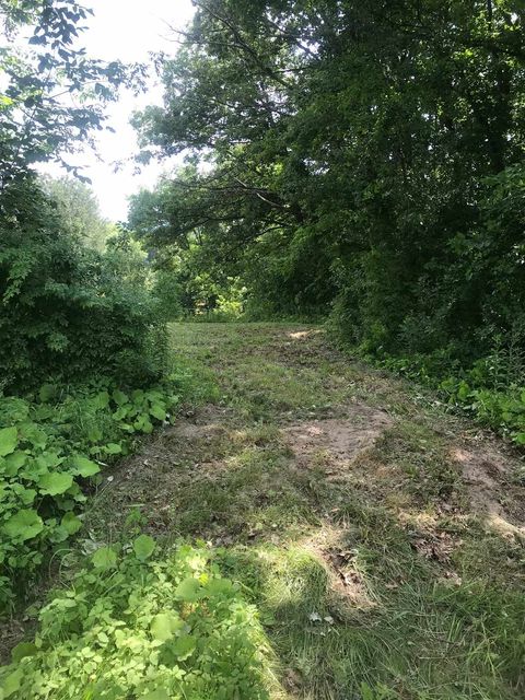 705 Hedgehog Hill Road Mount Holly VT 05758