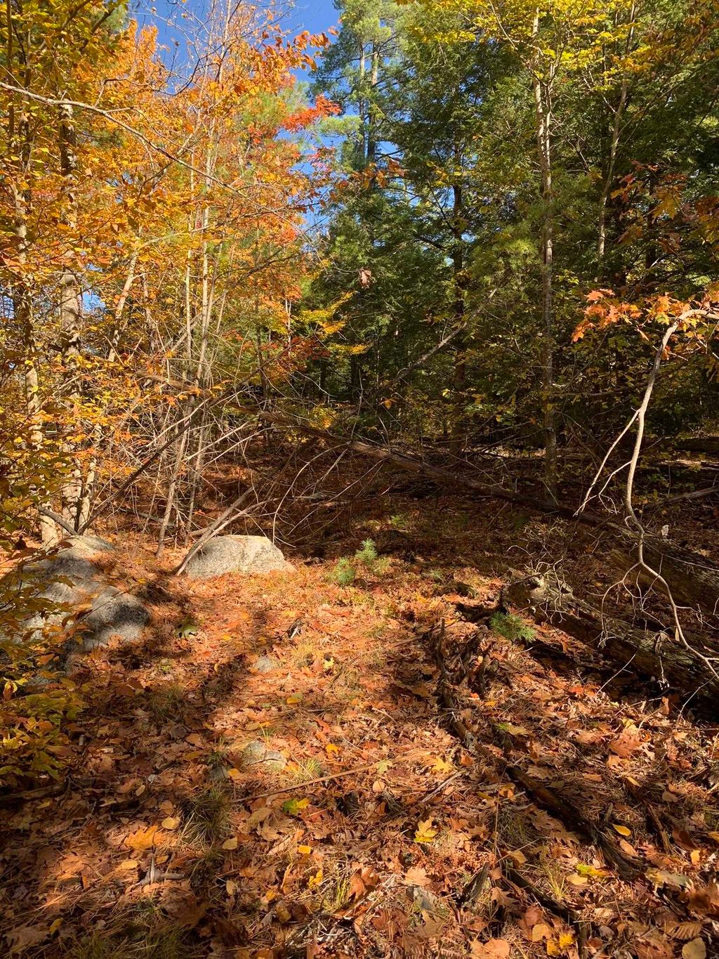 Photo of 3 Journeys End Road, Francestown, NH 03043 (MLS # 5066835)