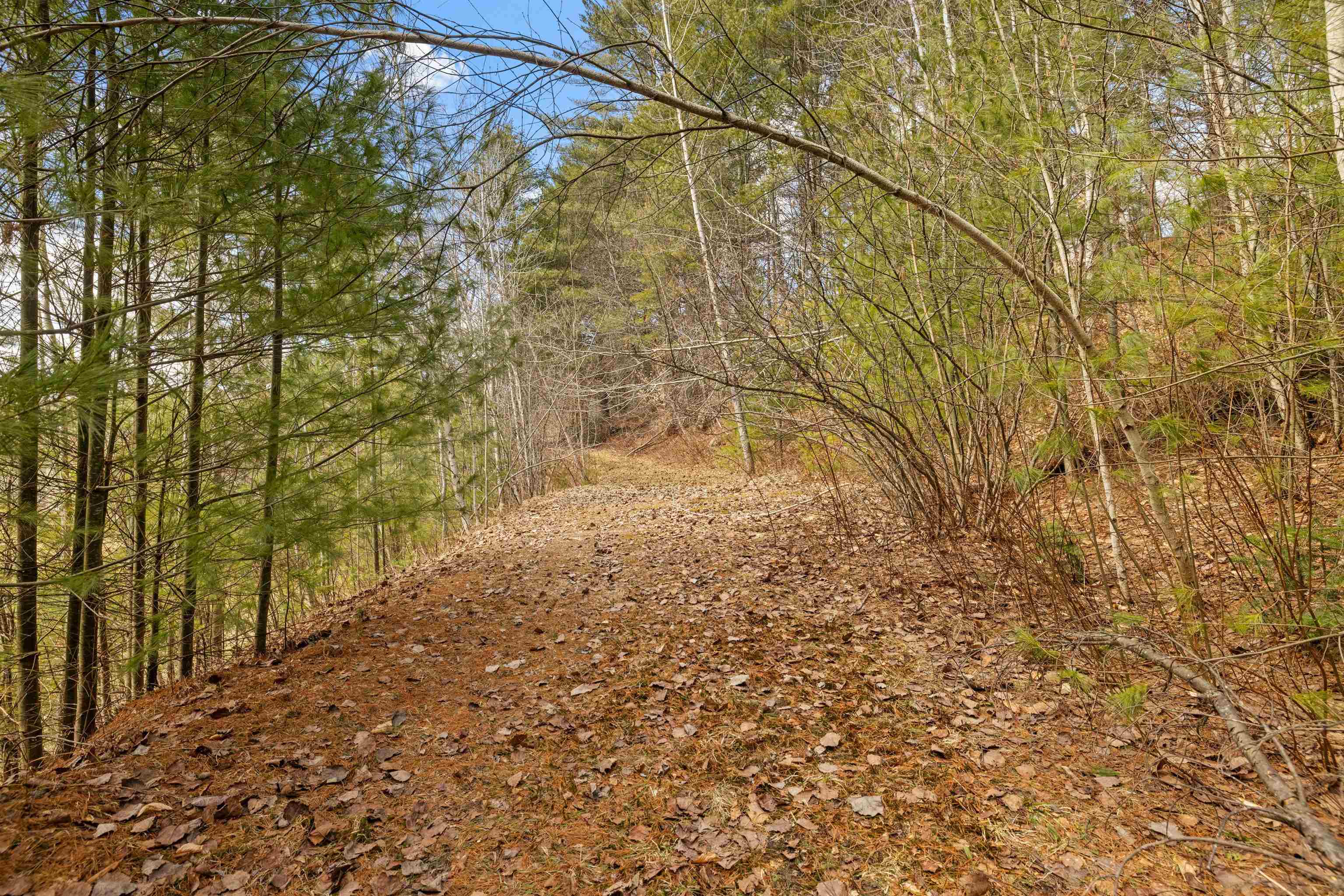 1537 VT Route 15E