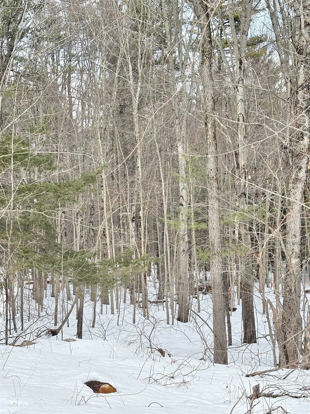 Photo of 791 Currier Road, Candia, NH 03034 (MLS # 5078506)