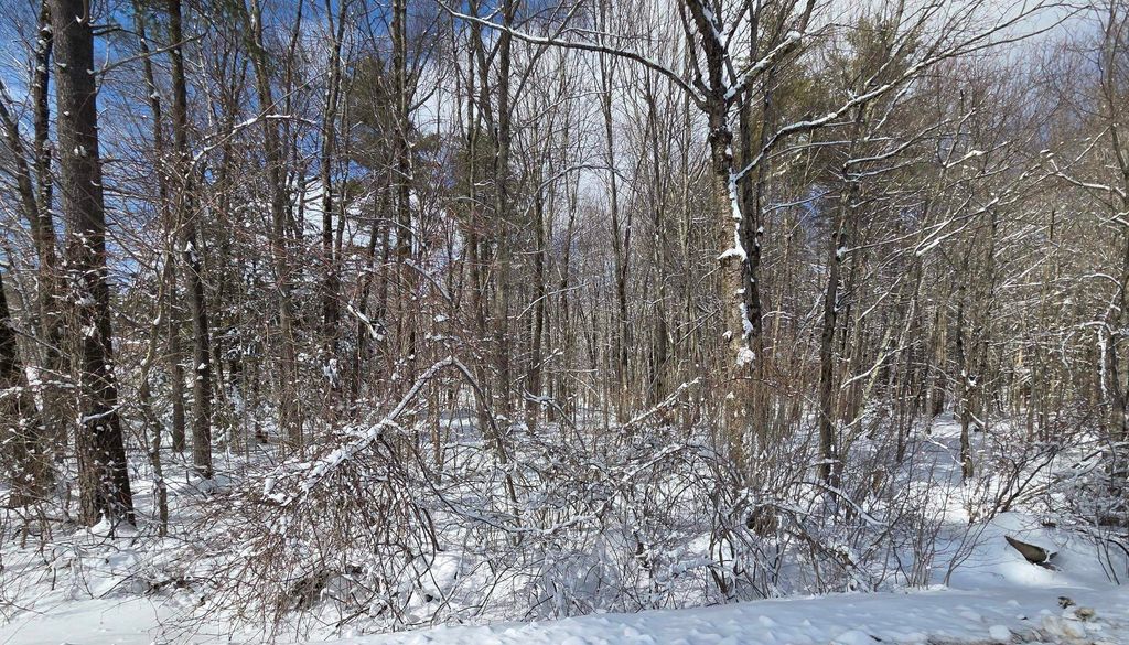 Photo of 791 Currier Road, Candia, NH 03034 (MLS # 5078506)