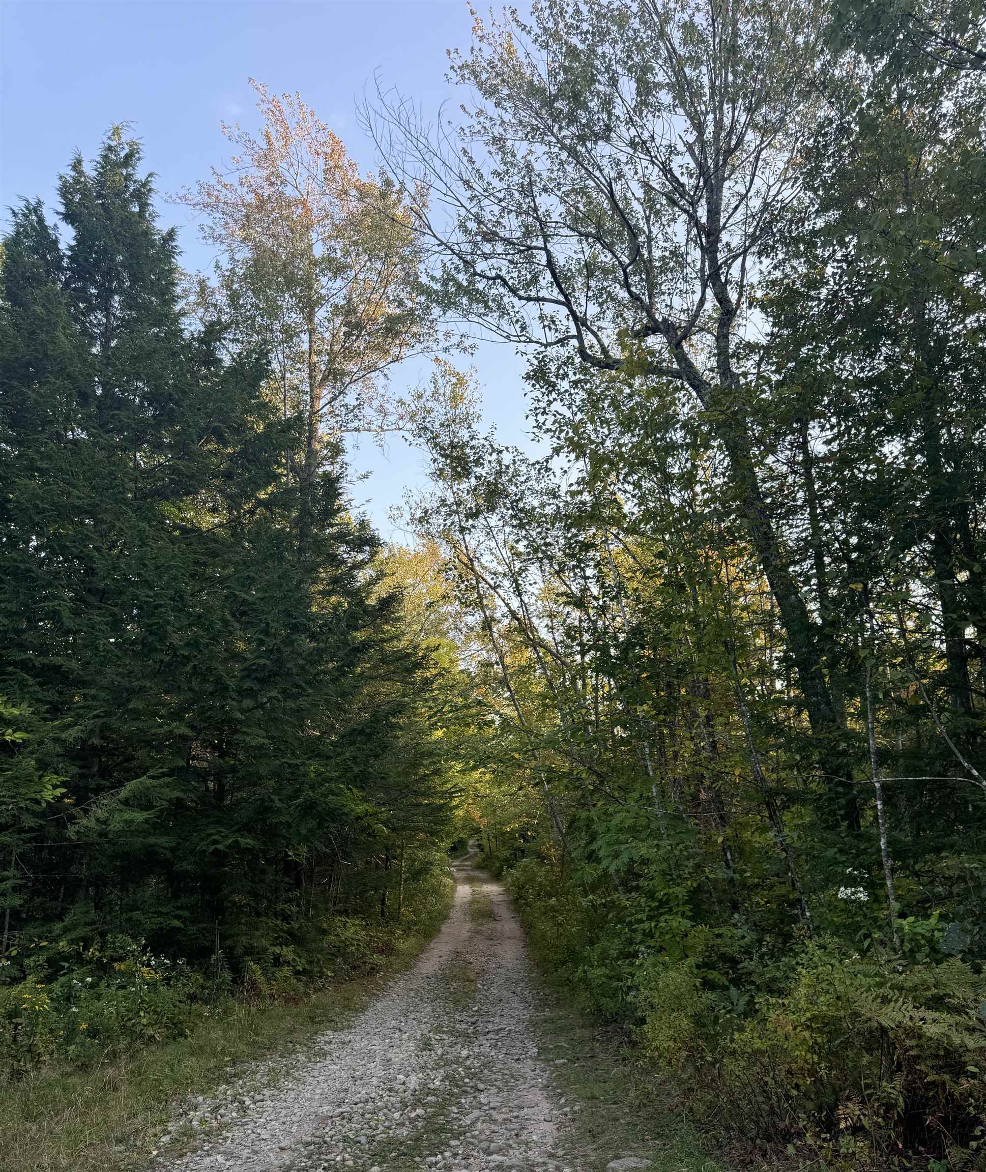 6 Horn Brook Road