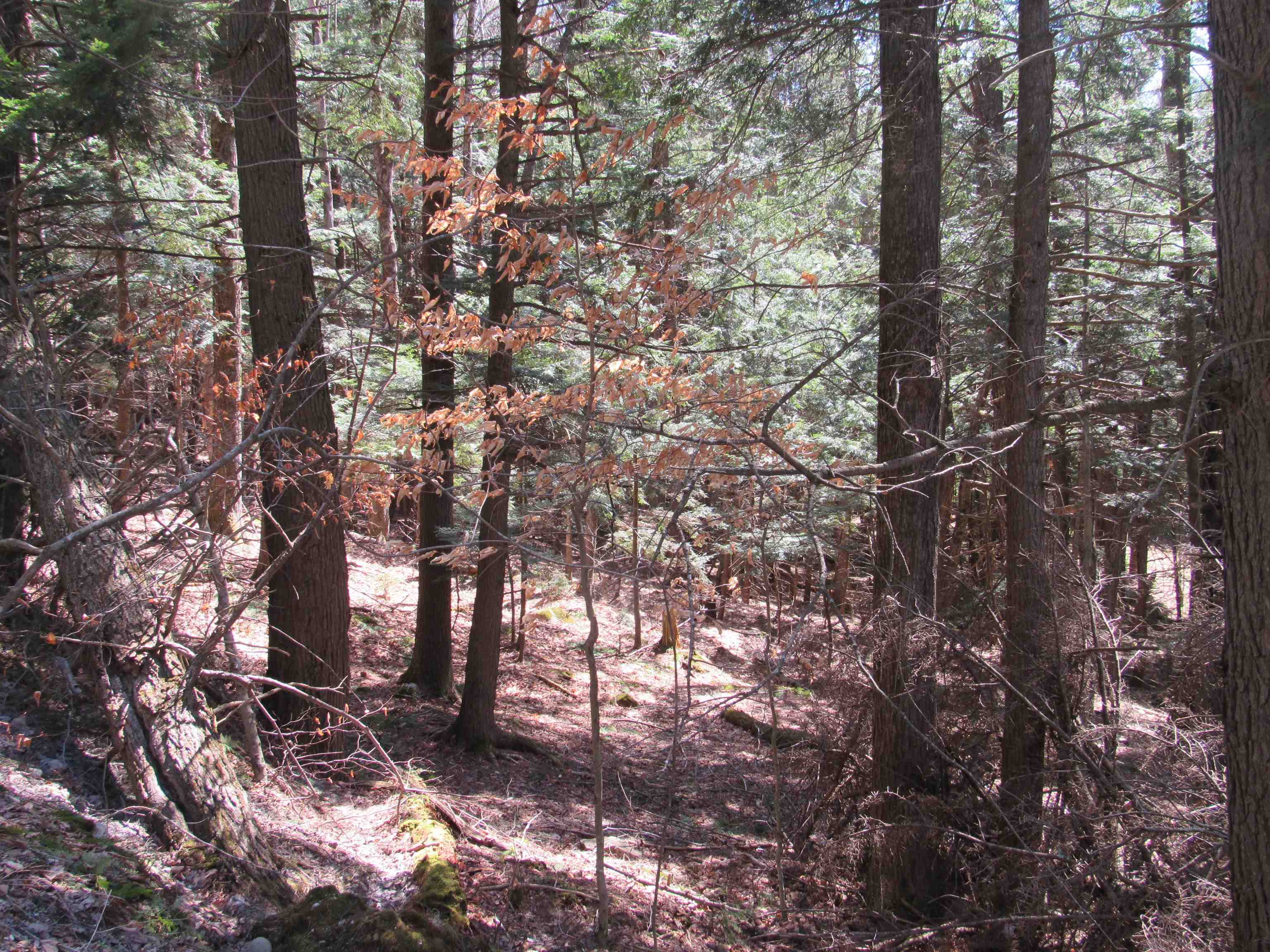 0 Stratton View Road 59
