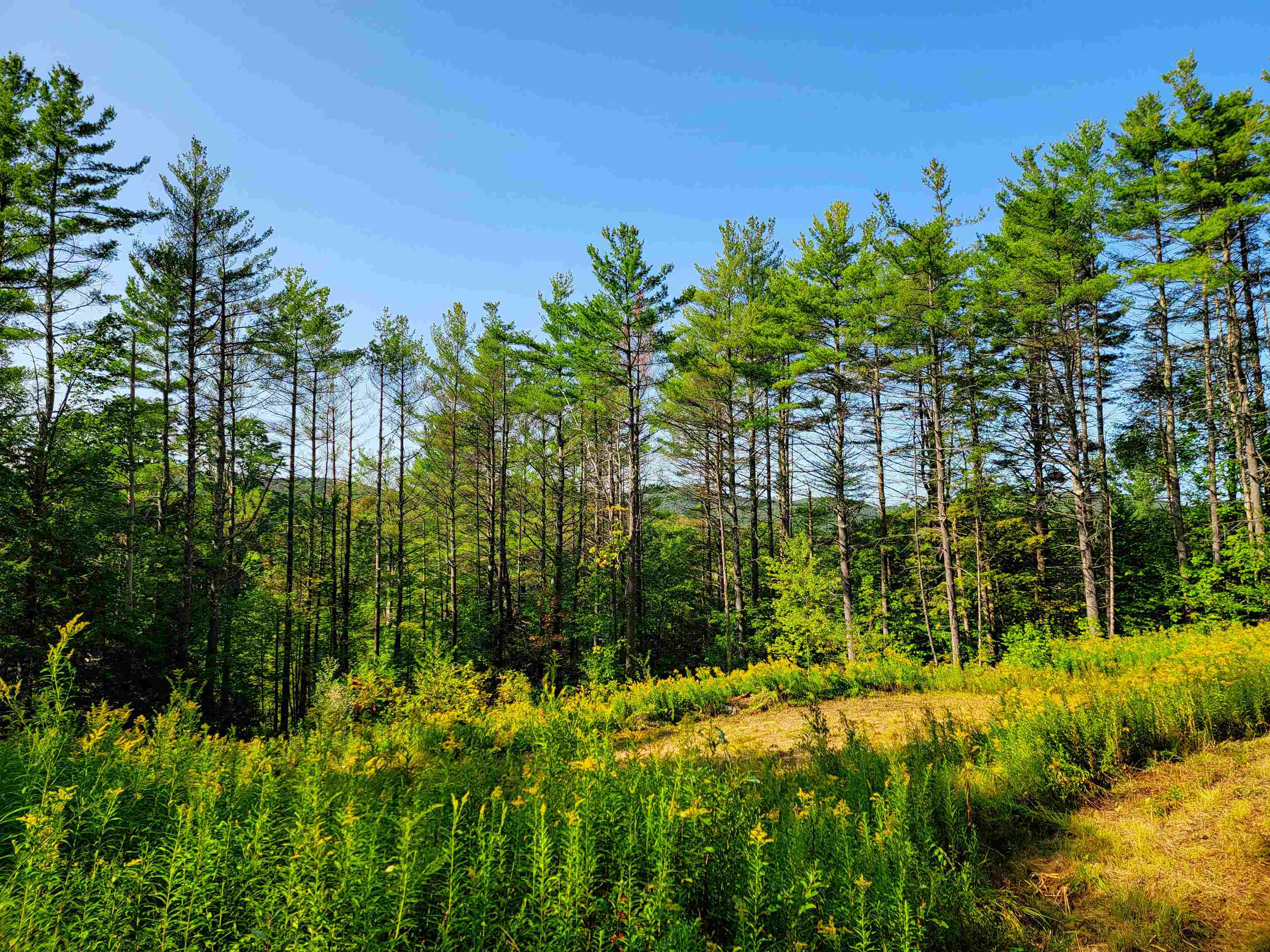 4440 Big Hollow Road