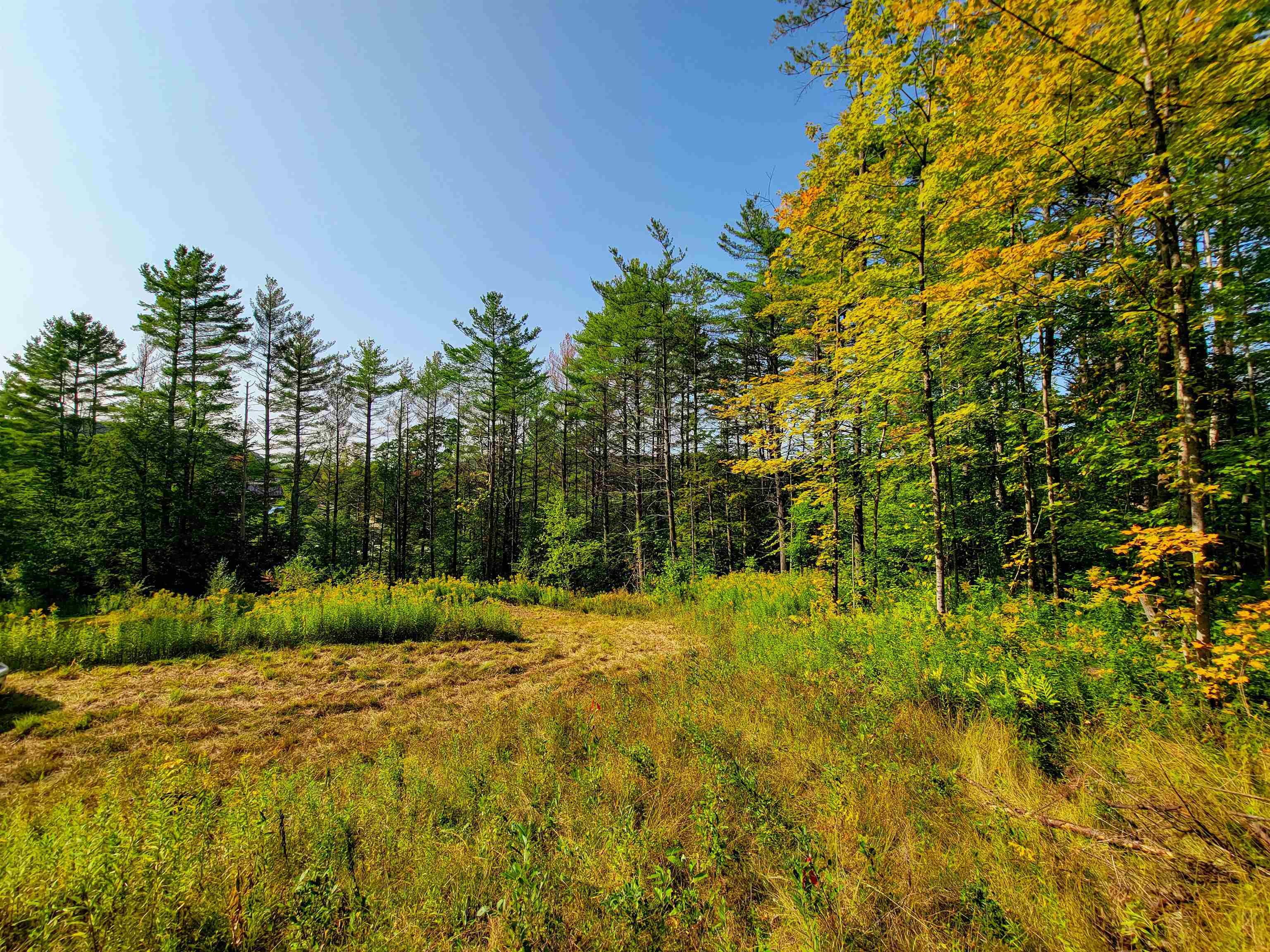 4440 Big Hollow Road