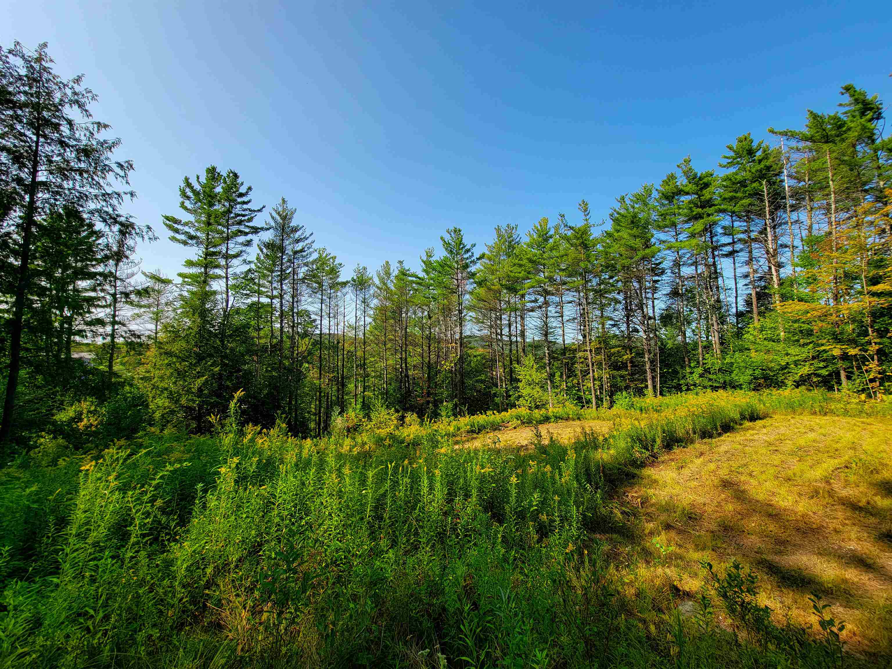 4440 Big Hollow Road