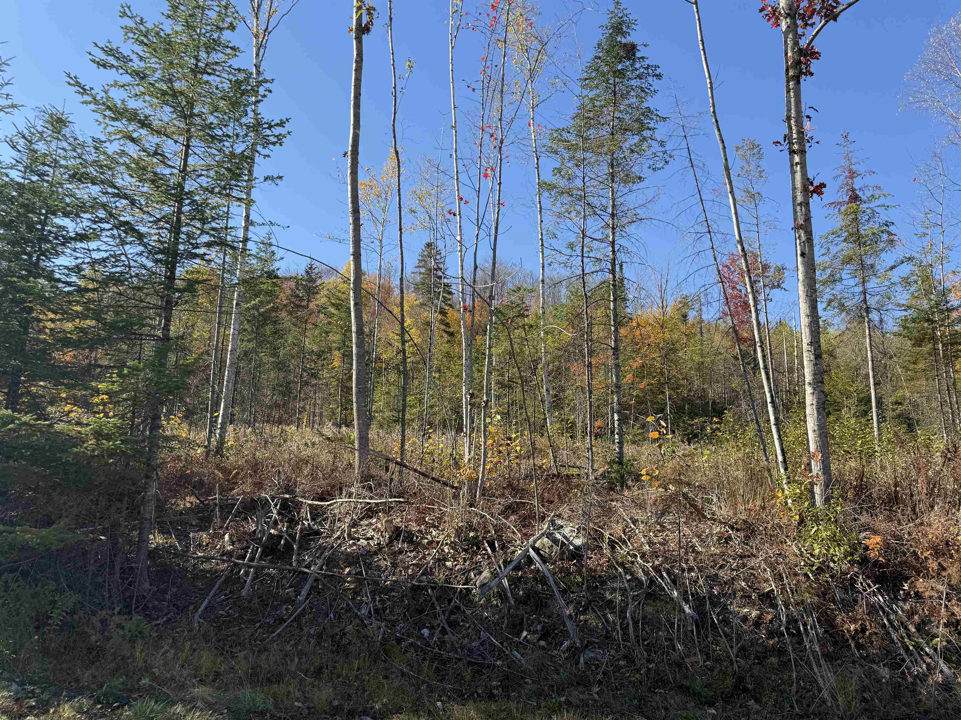 Lot 24 Hartco Avenue