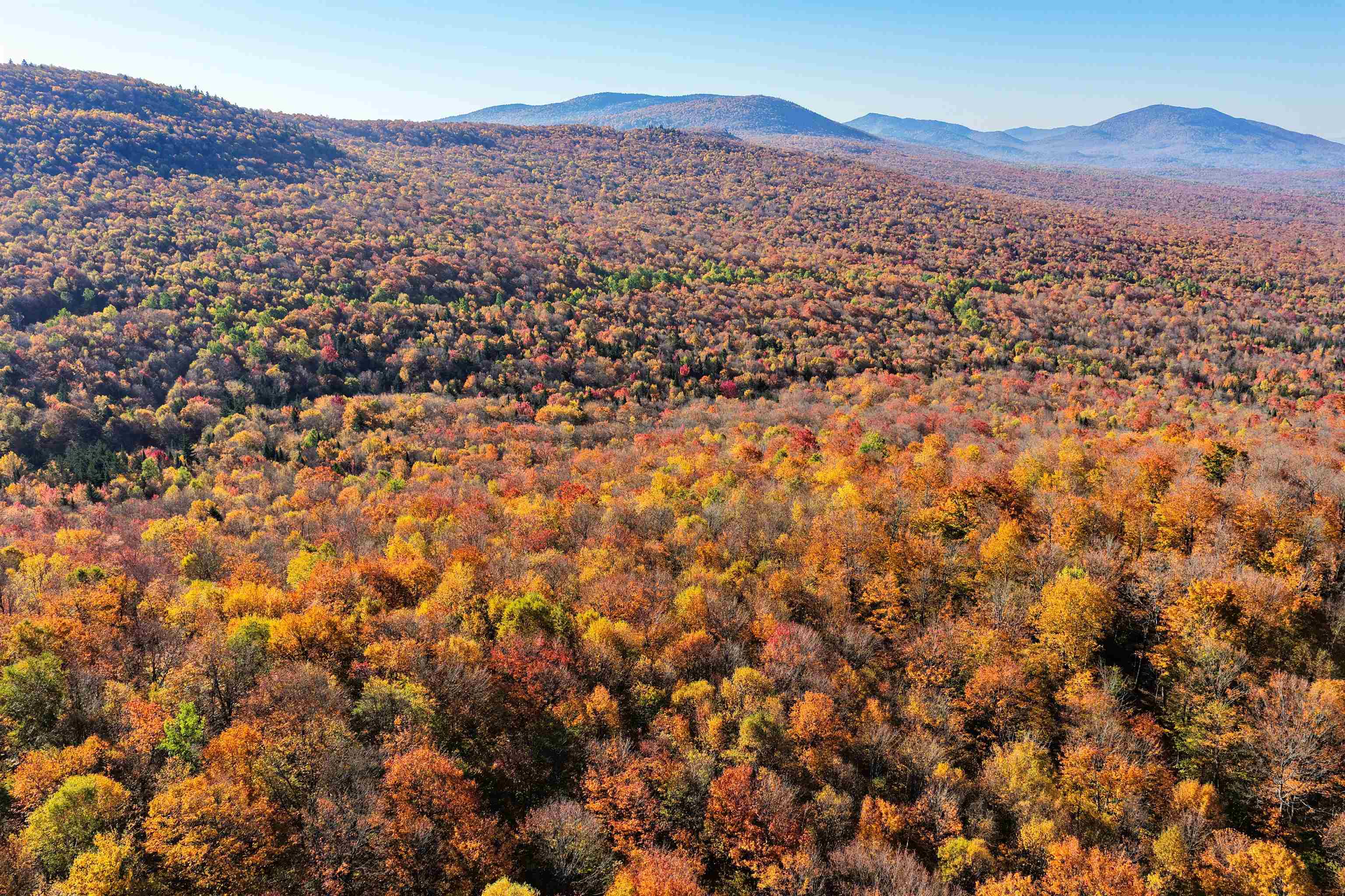 2448 Lost Nation Road