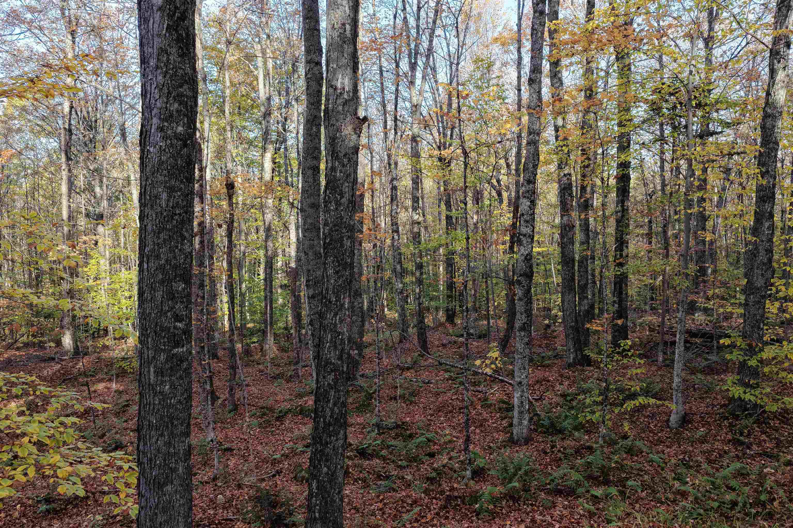 2448 Lost Nation Road