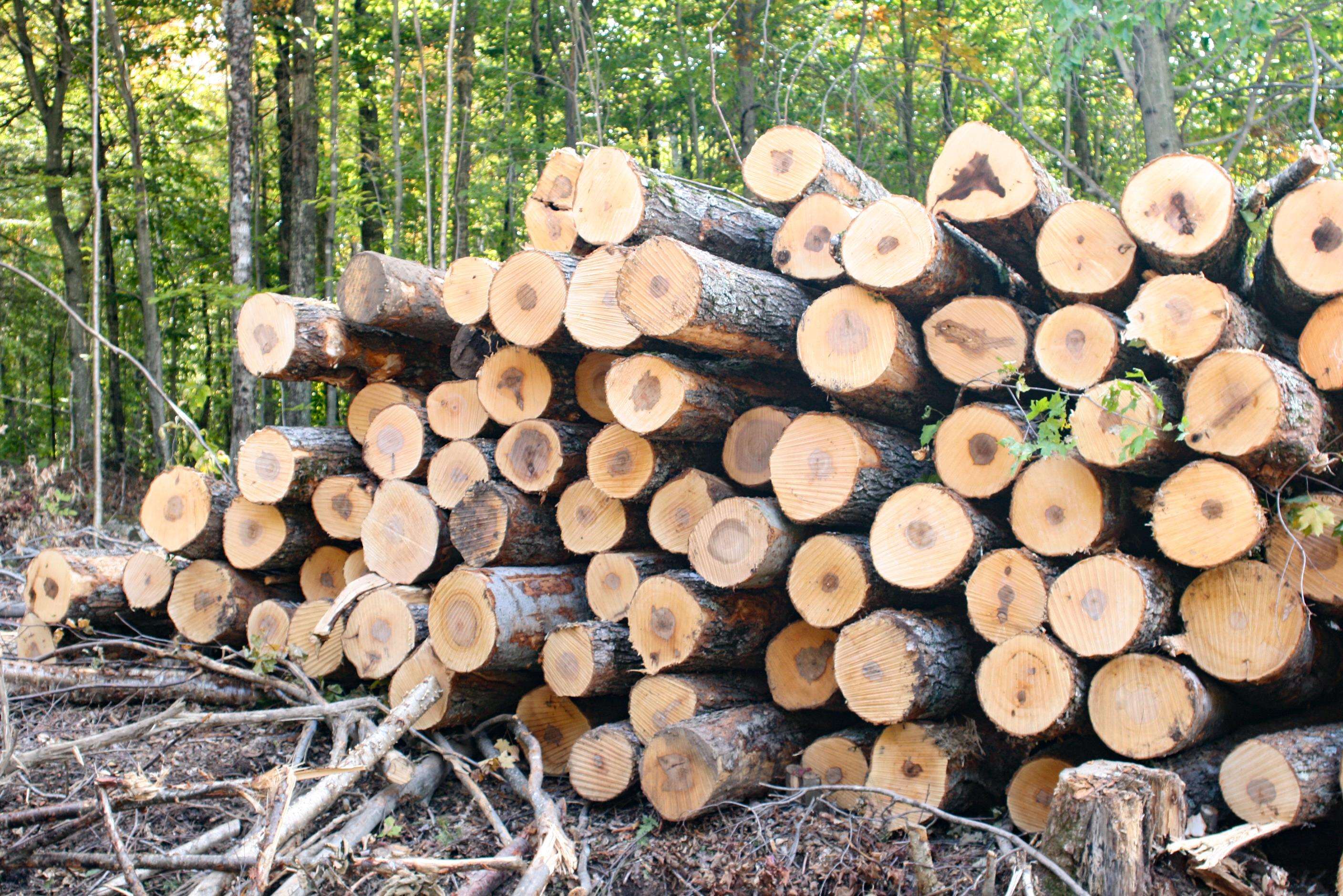 2448 Lost Nation Road