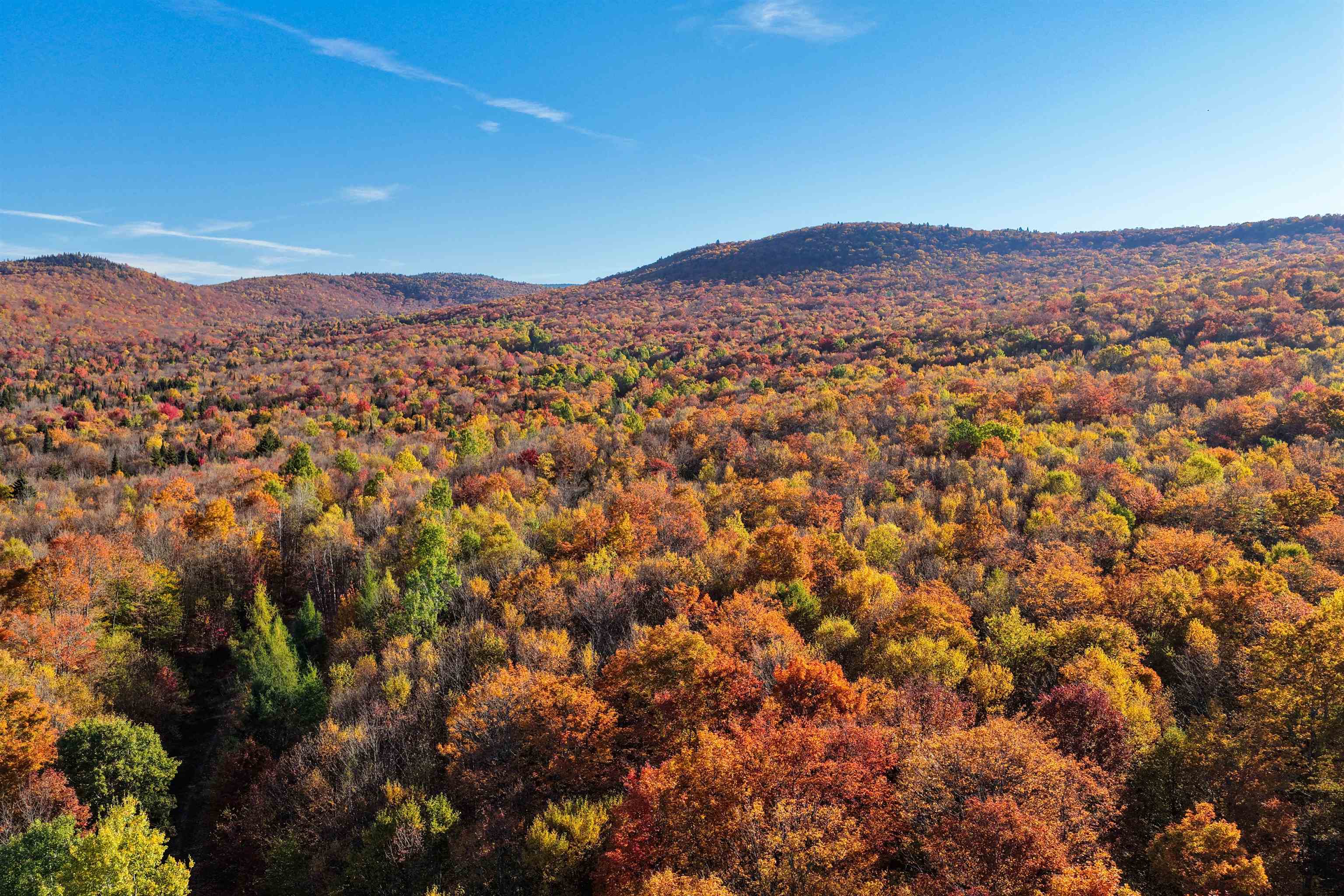 2448 Lost Nation Road