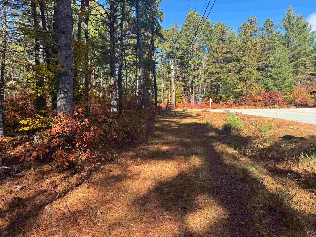 Photo of 34 Old Mill Road, Ossipee, NH 03890 (MLS # 5066928)