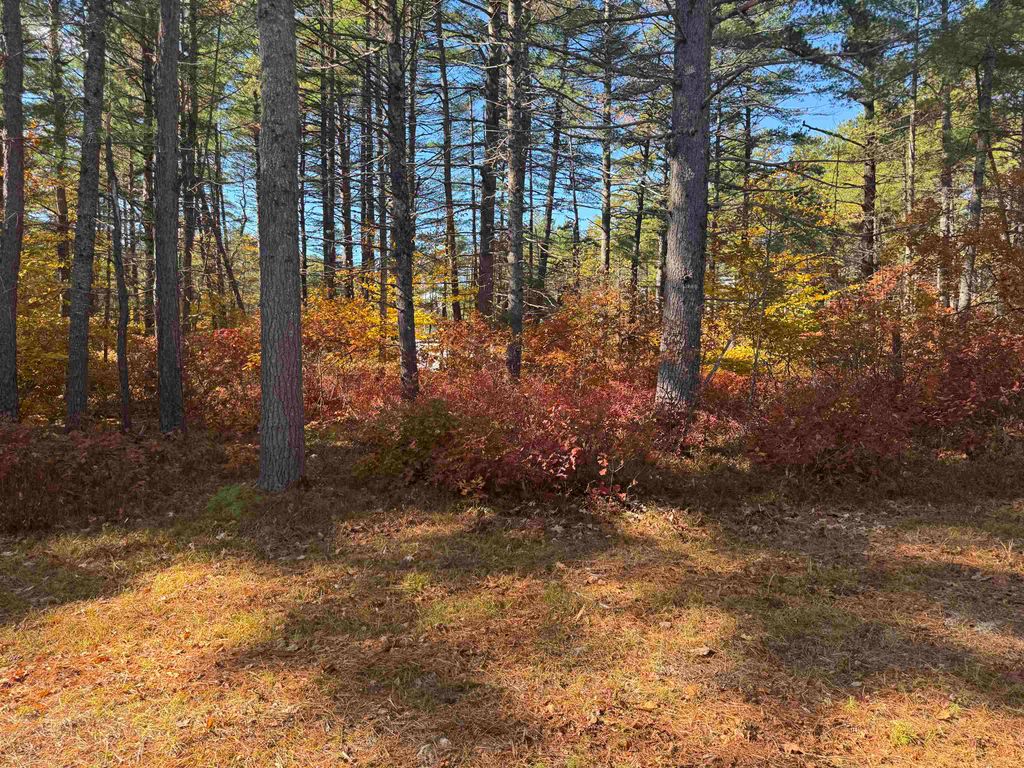 Photo of 34 Old Mill Road, Ossipee, NH 03890 (MLS # 5066928)
