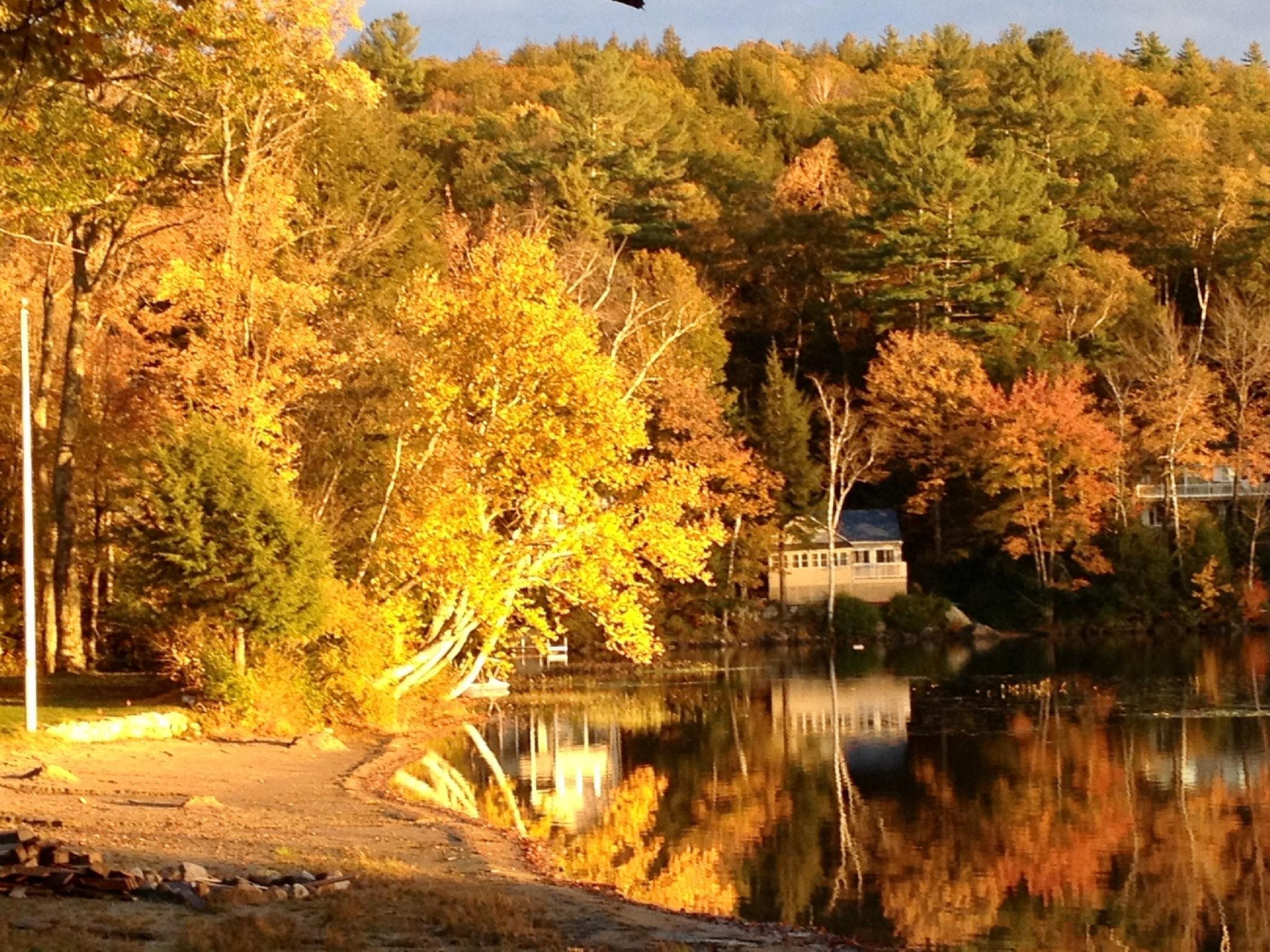 343 Loon Lake Road