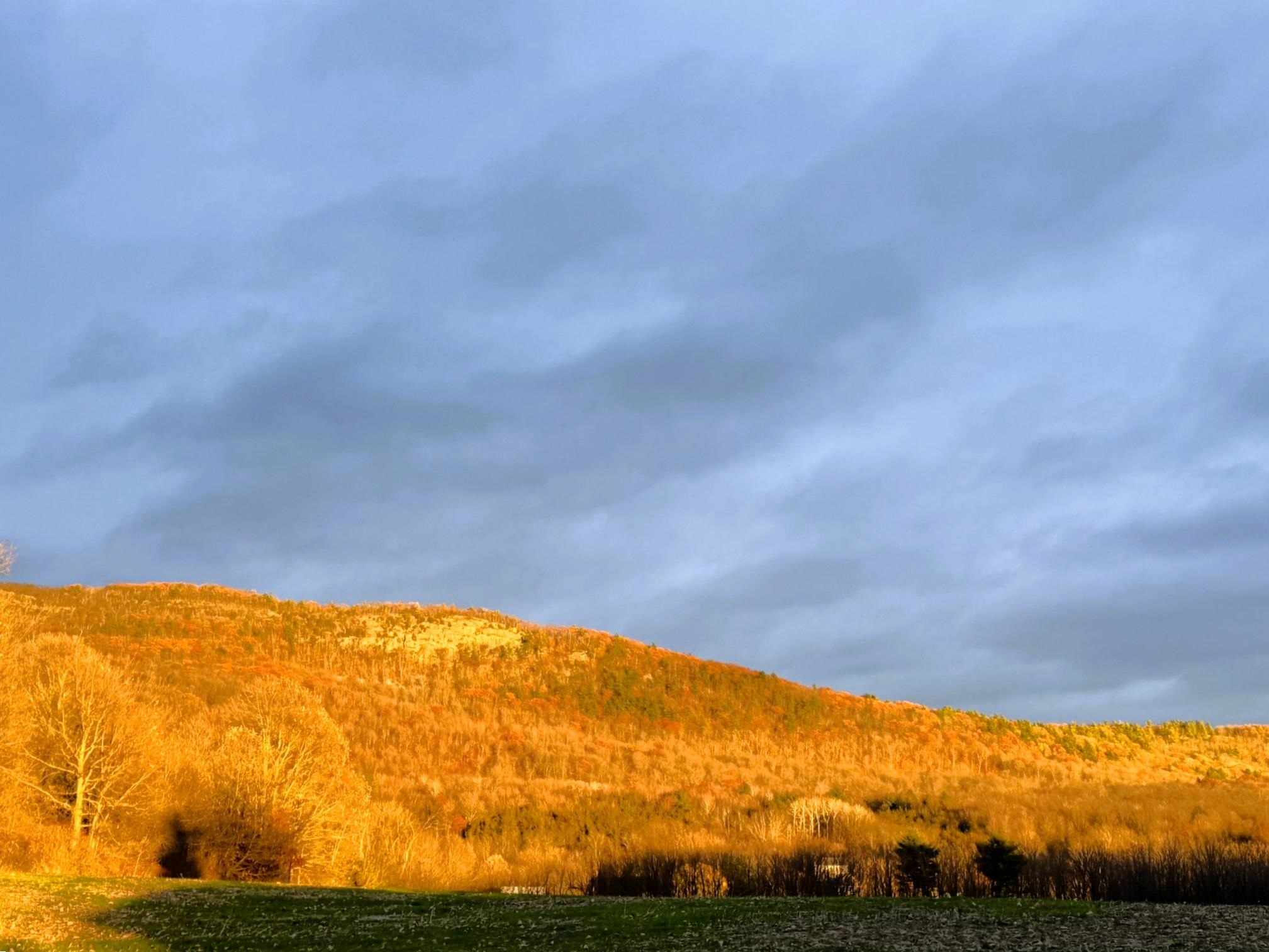 Addison, Vermont 05491, United States, 3 Bedrooms Bedrooms, ,1 BathroomBathrooms,Residential,Active,252069