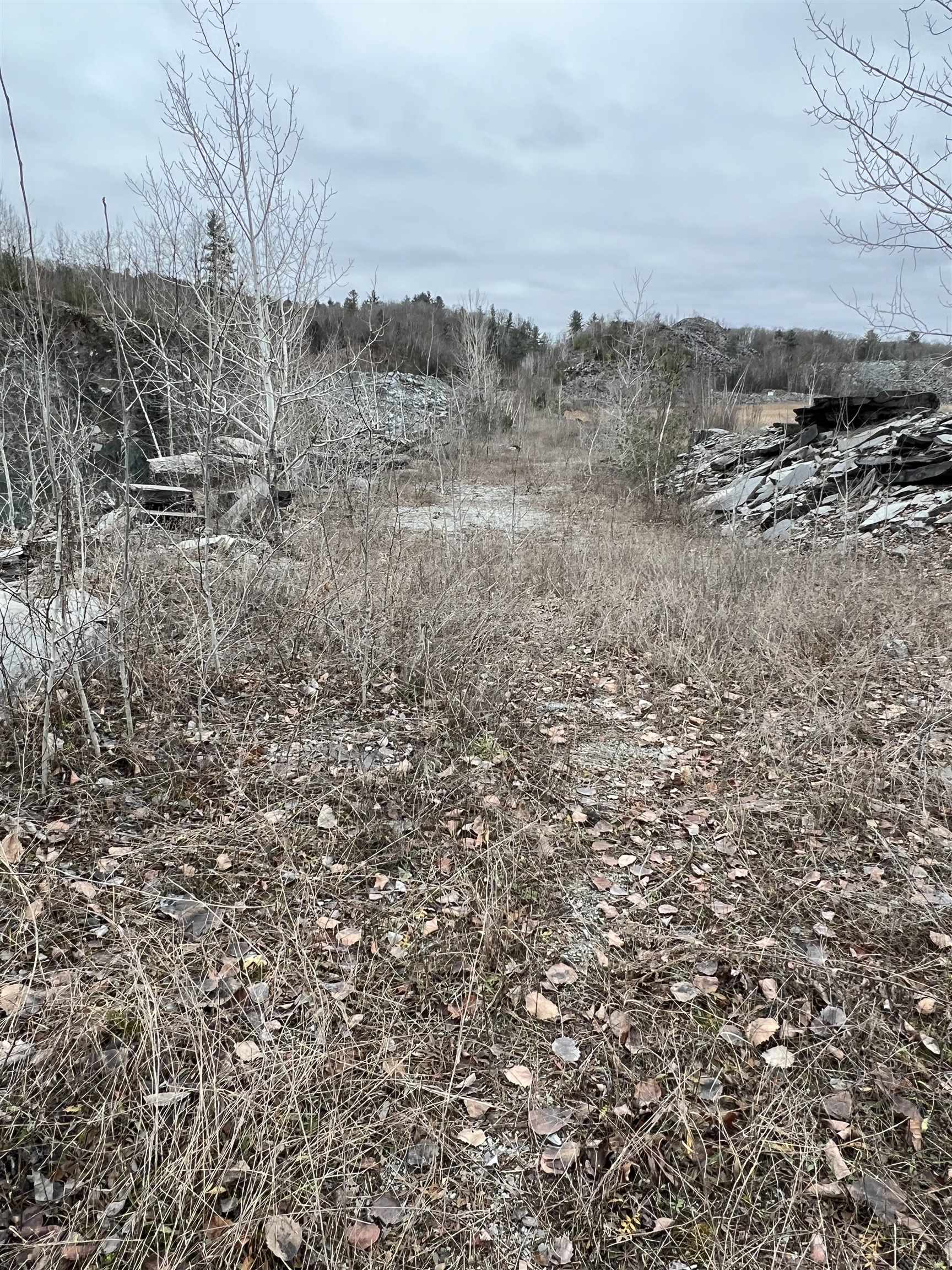120170 Upper Road
