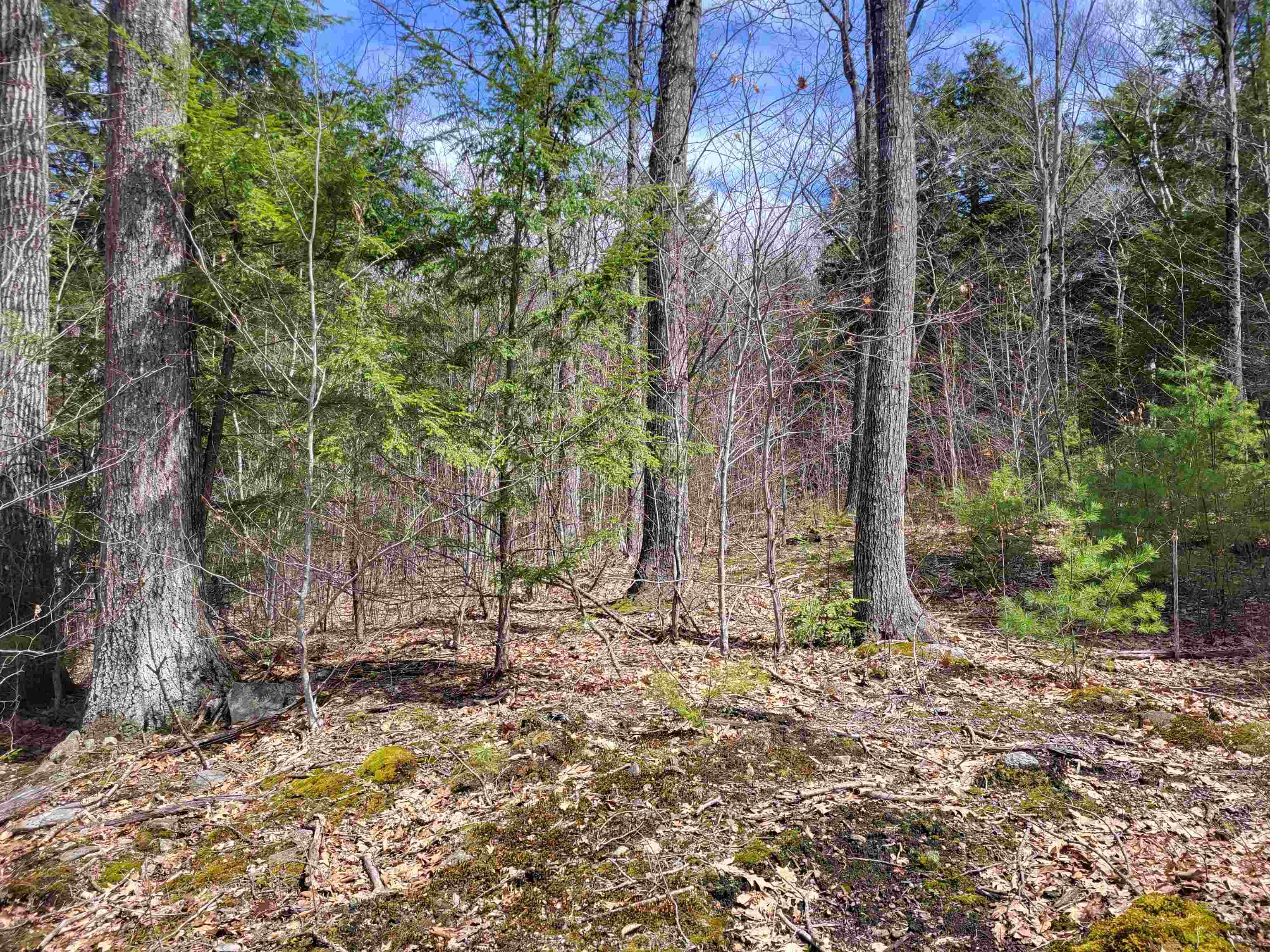 637 Sanborn Road 1
