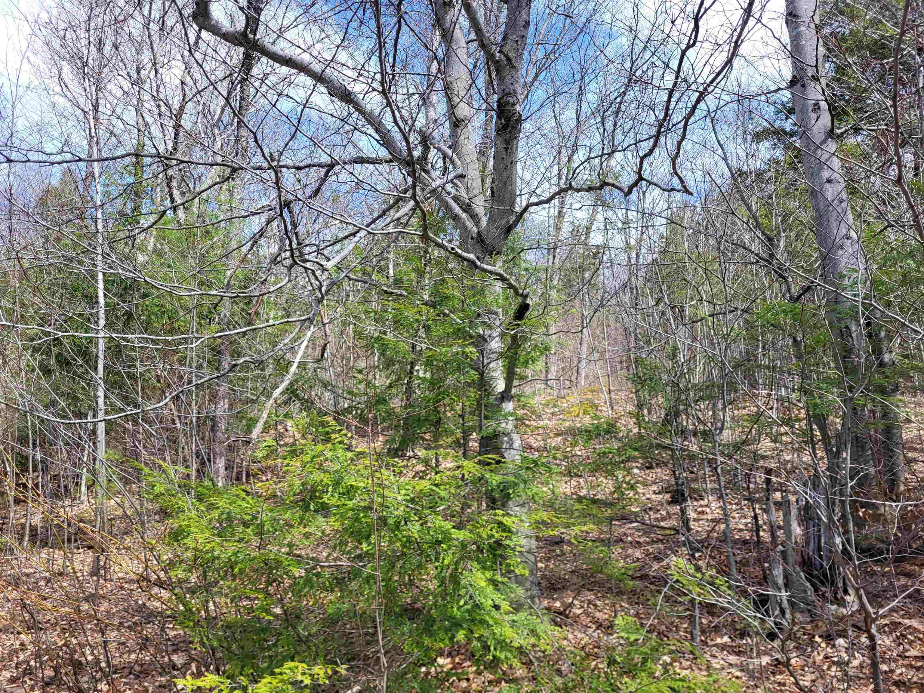 637 Sanborn Road 1