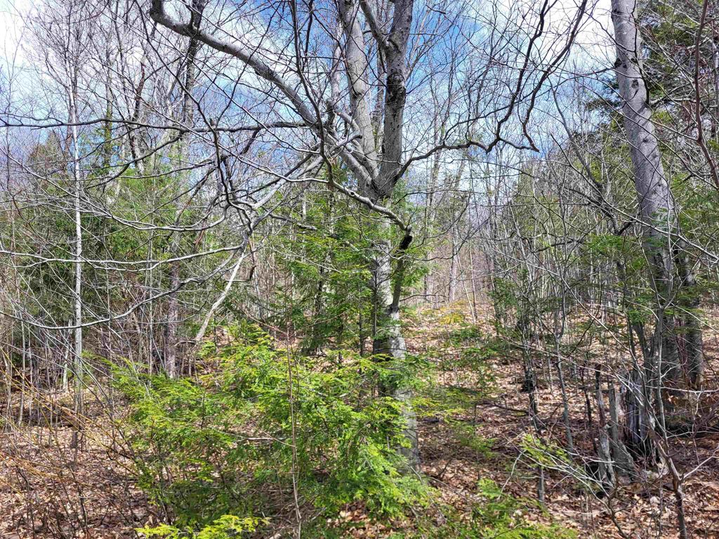 Photo of 637 Sanborn Road #1, Sanbornton, NH 03269 (MLS # 5084621)