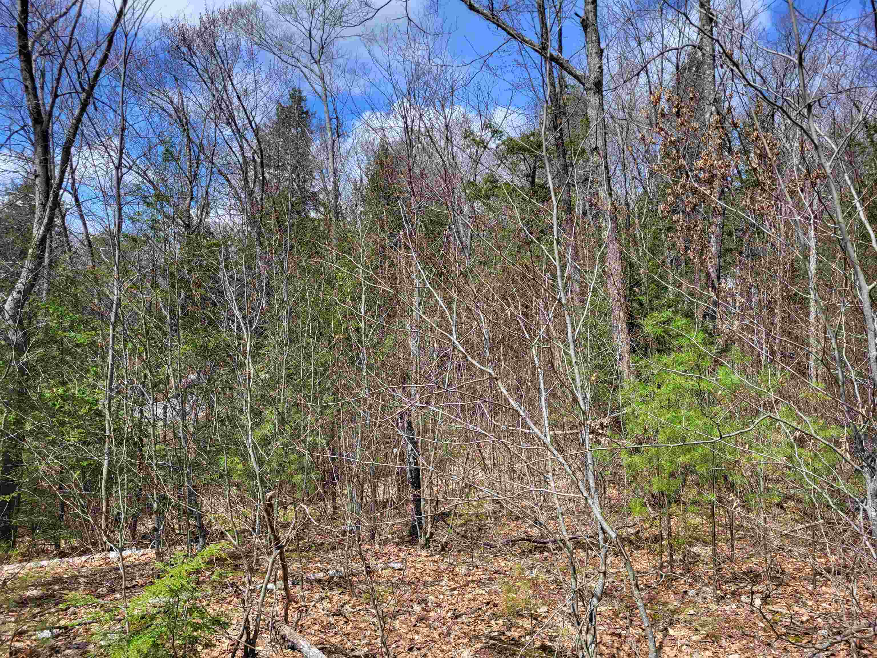 637 Sanborn Road 1