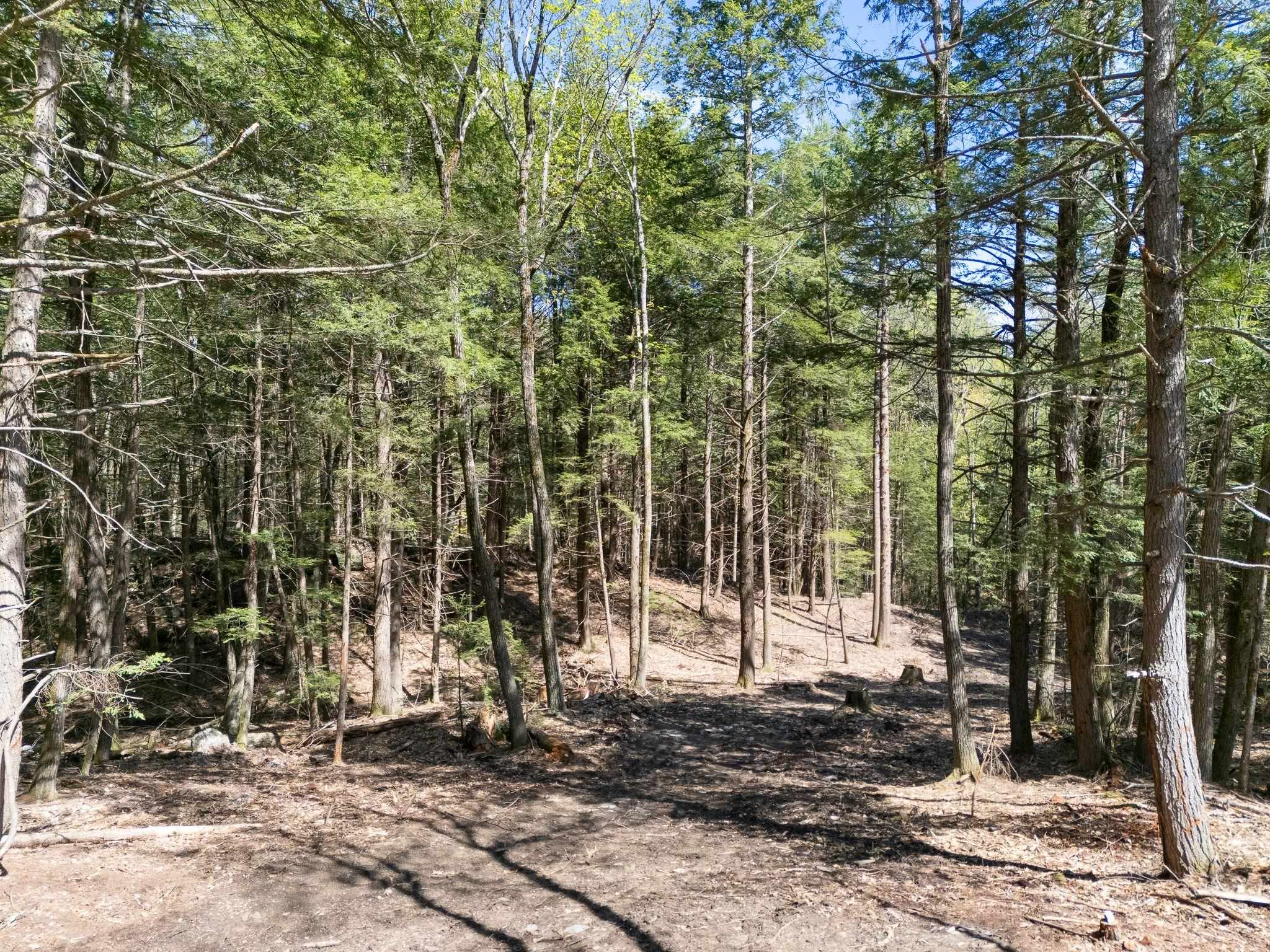 0 Old Ledge Road 2