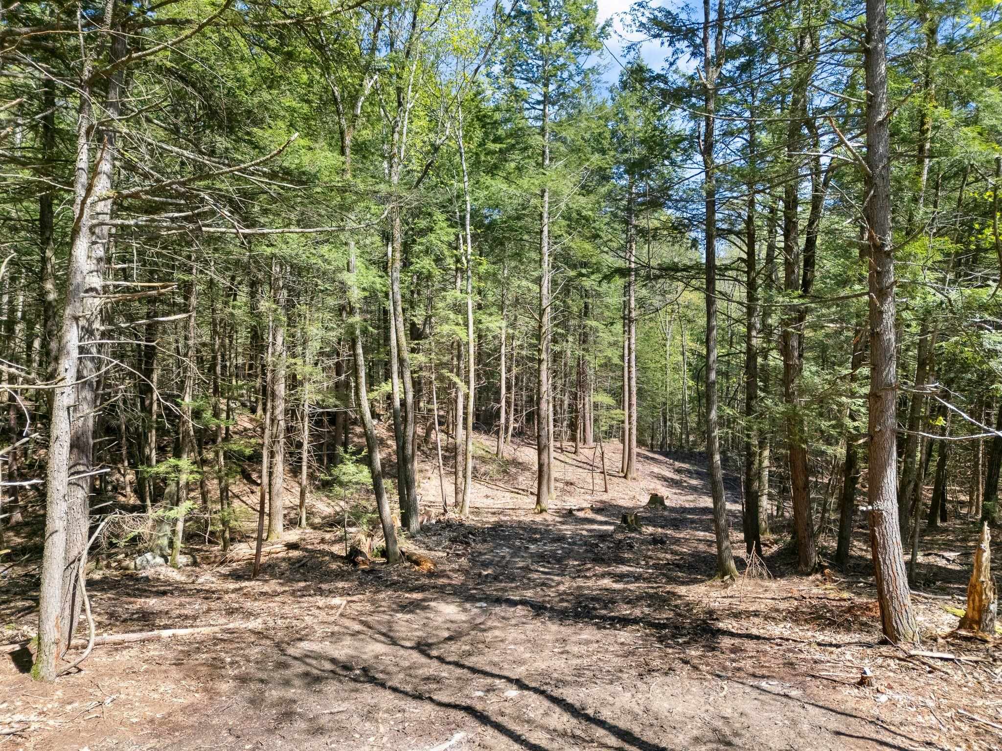 0 Old Ledge Road 2