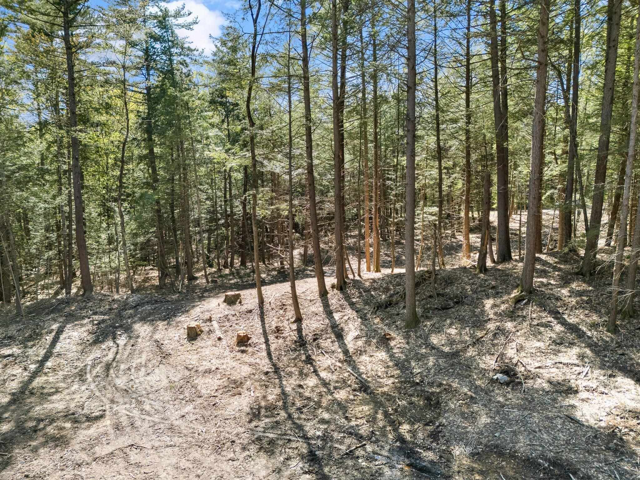 0 Old Ledge Road 2