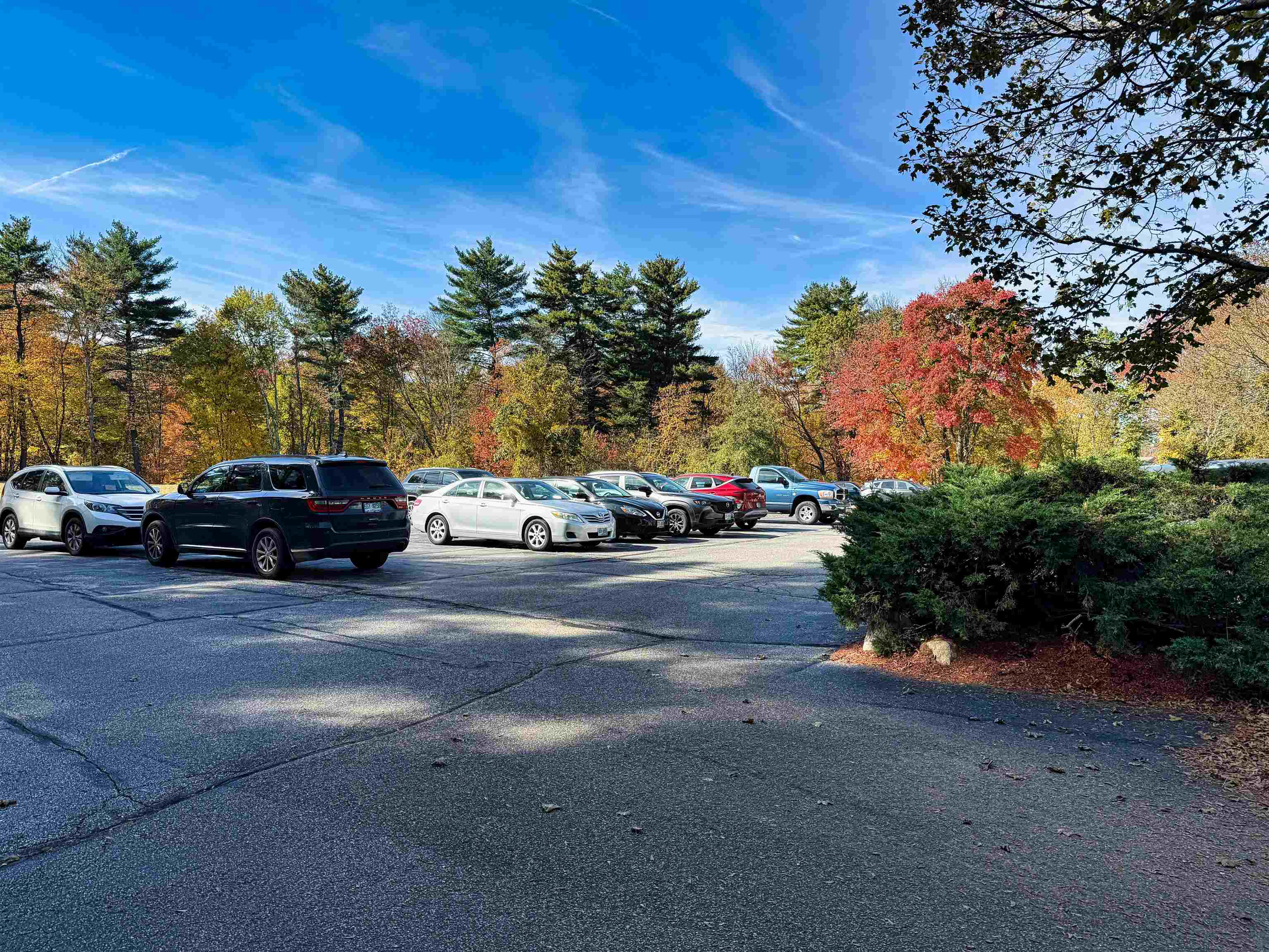 1799 Bodwell Road 14