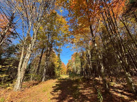 00 Baird Road Newark VT 05871