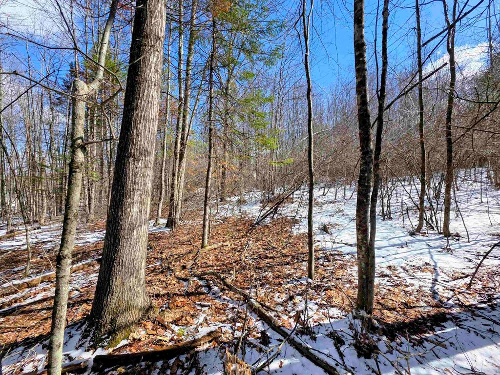 Photo of 0 Gile Road, Franklin, NH 03235 (MLS # 5080537)