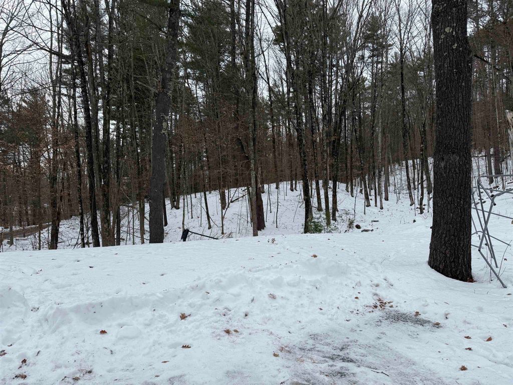 Photo of 142 Jewett Road, Hopkinton, NH 03229 (MLS # 5072721)