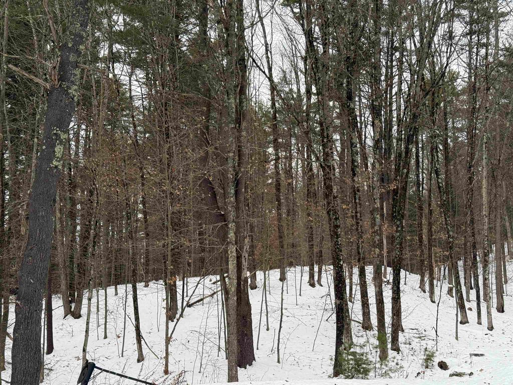 Photo of 142 Jewett Road, Hopkinton, NH 03229 (MLS # 5072721)