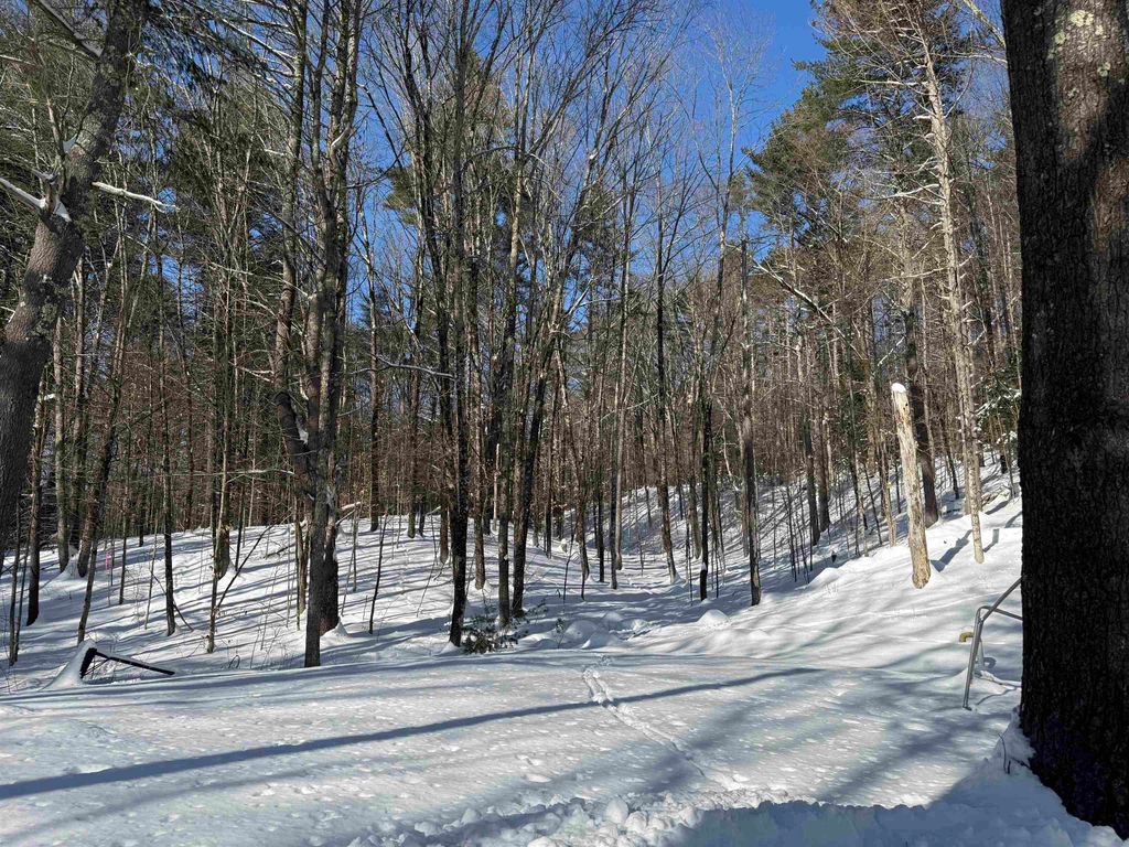 Photo of 142 Jewett Road, Hopkinton, NH 03229 (MLS # 5072721)