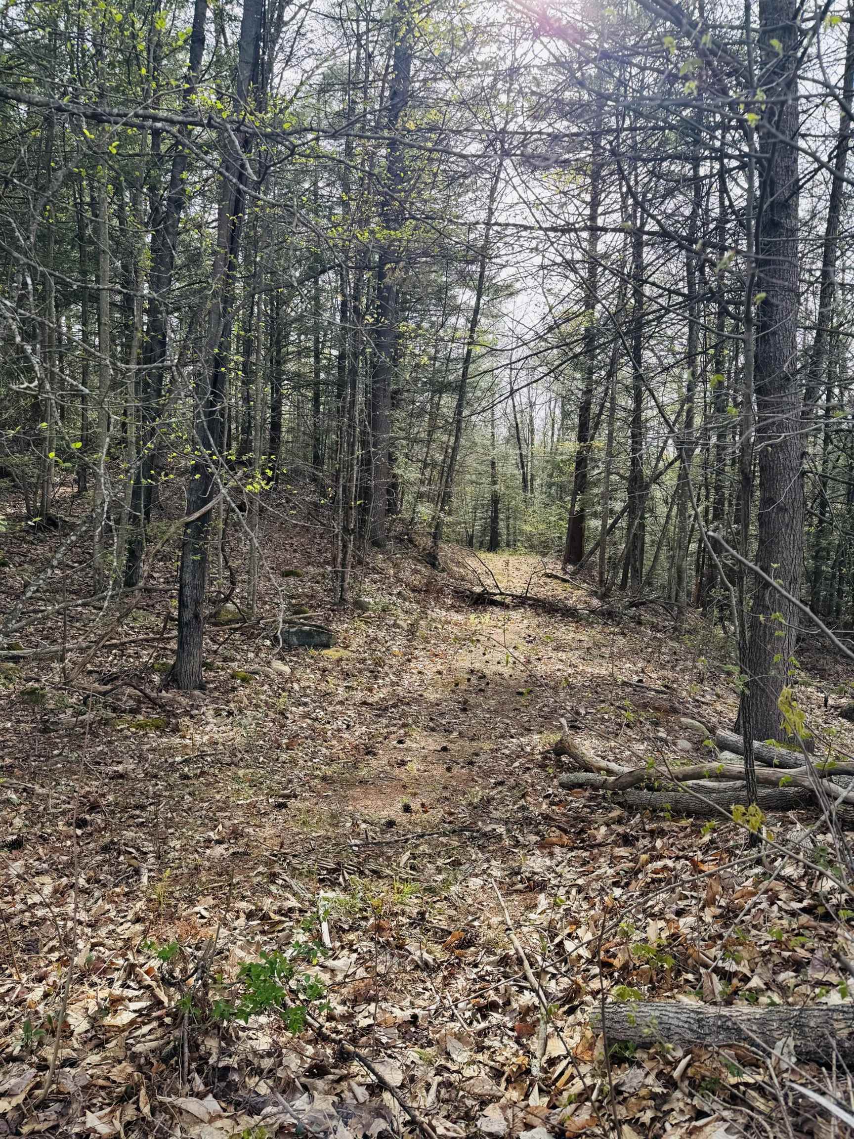 Lot F-84 McGettigan Road