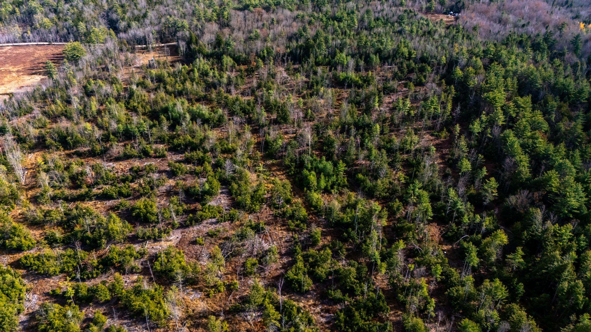 00 Leighton Corner Road