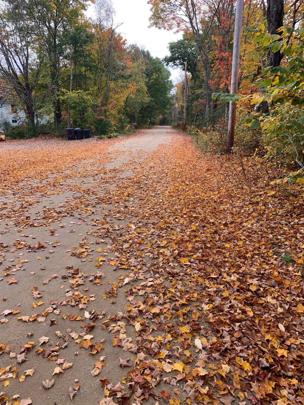 Photo of 293 Bear Hill Road #1, Loudon, NH 03307 (MLS # 5070021)