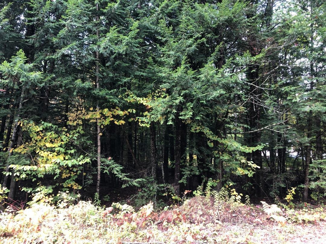 122 Centennial Drive Lots 120,121,122,123