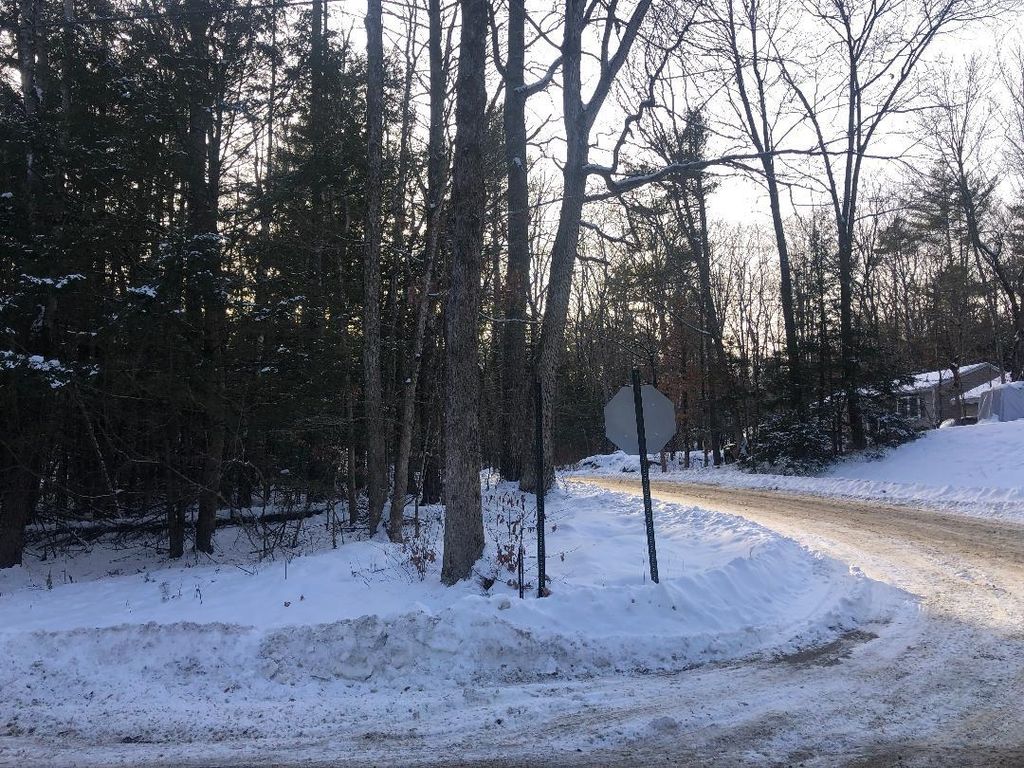 Photo of 122 Centennial Drive #Lots 120,121,122,123, Webster, NH 03303 (MLS # 5063018)