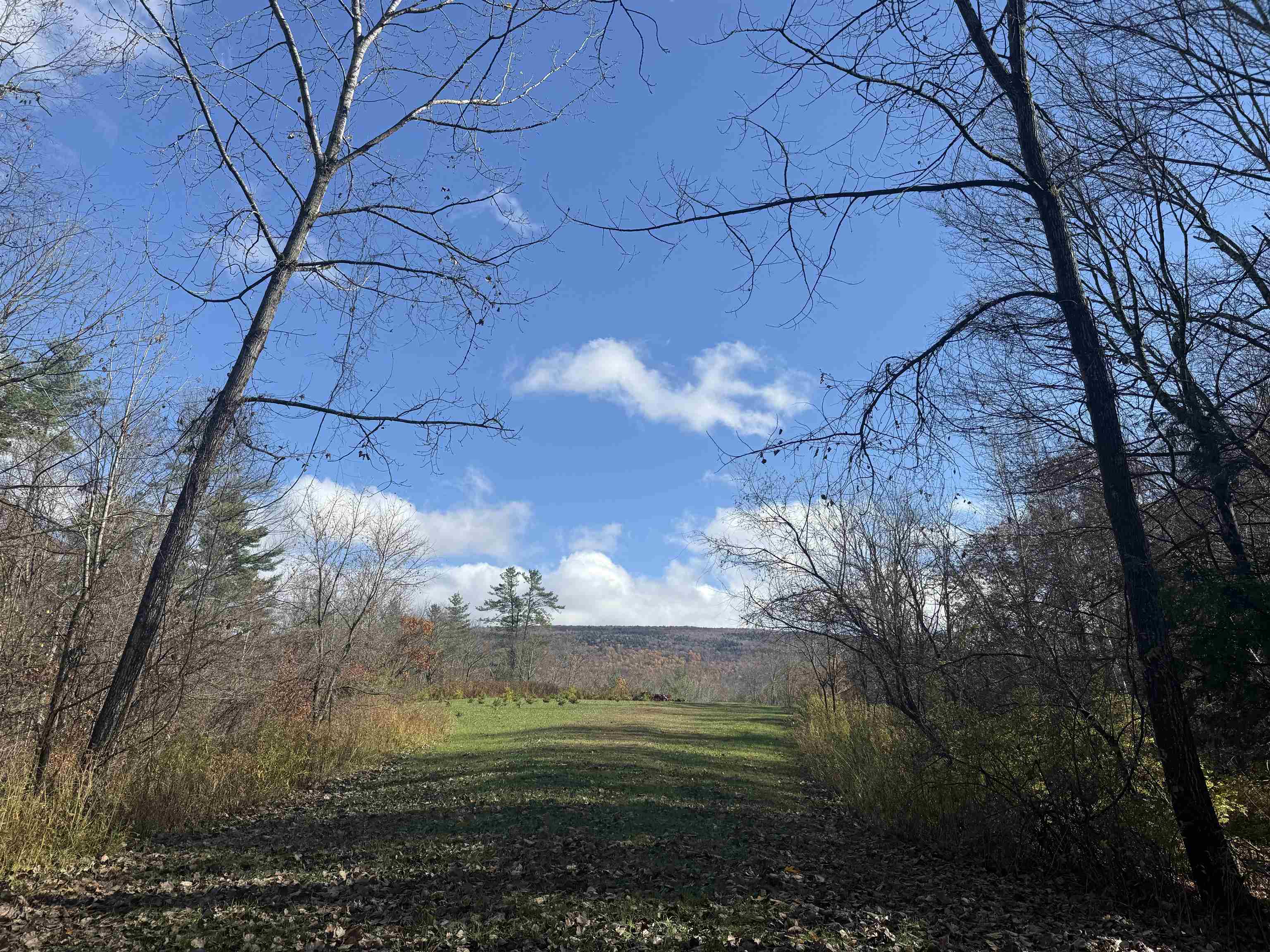 777 Butternut Gutter