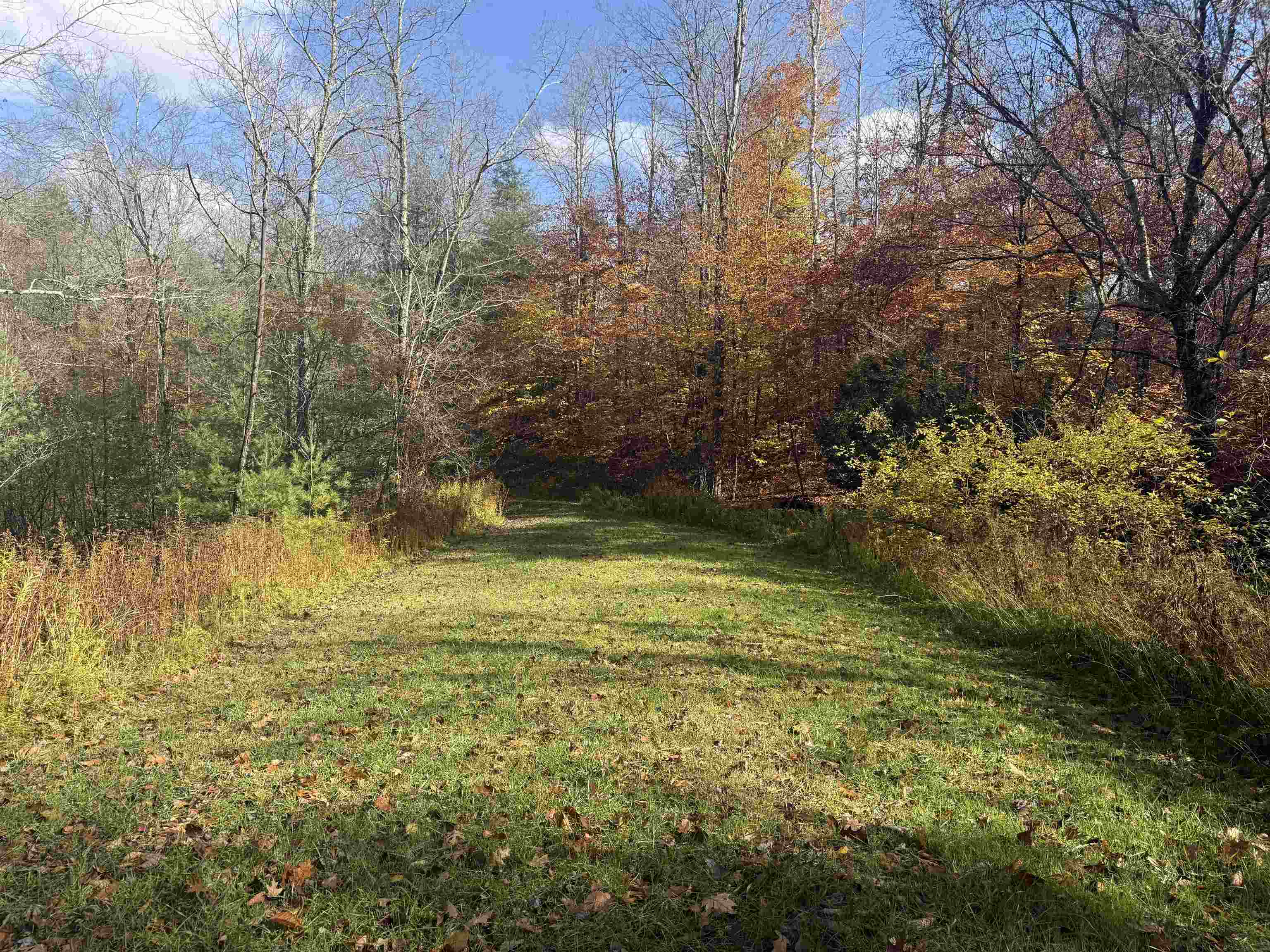 777 Butternut Gutter