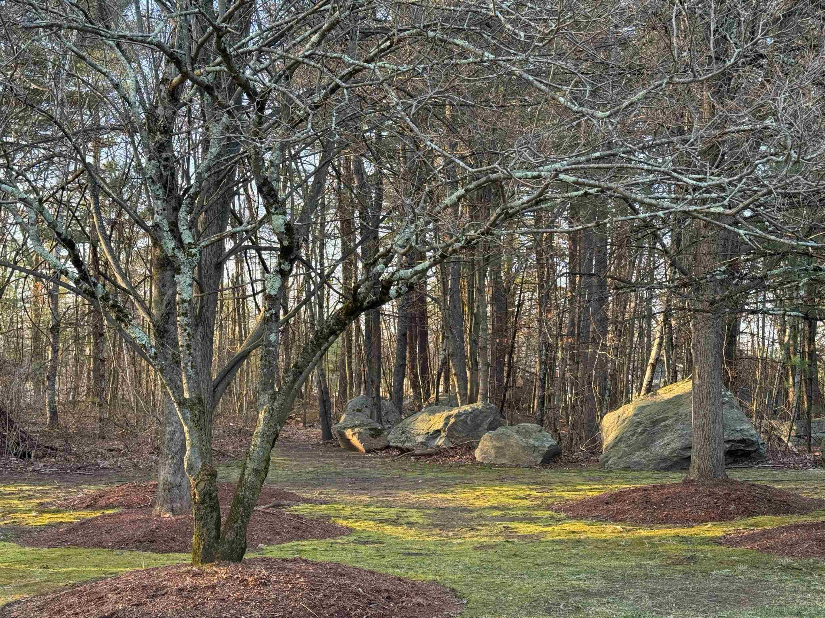 2 Maple Ridge Drive 29