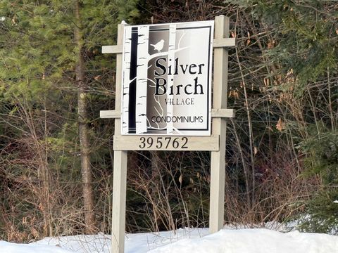62 Silver Birch Place 3-B Rutland Town VT 05701