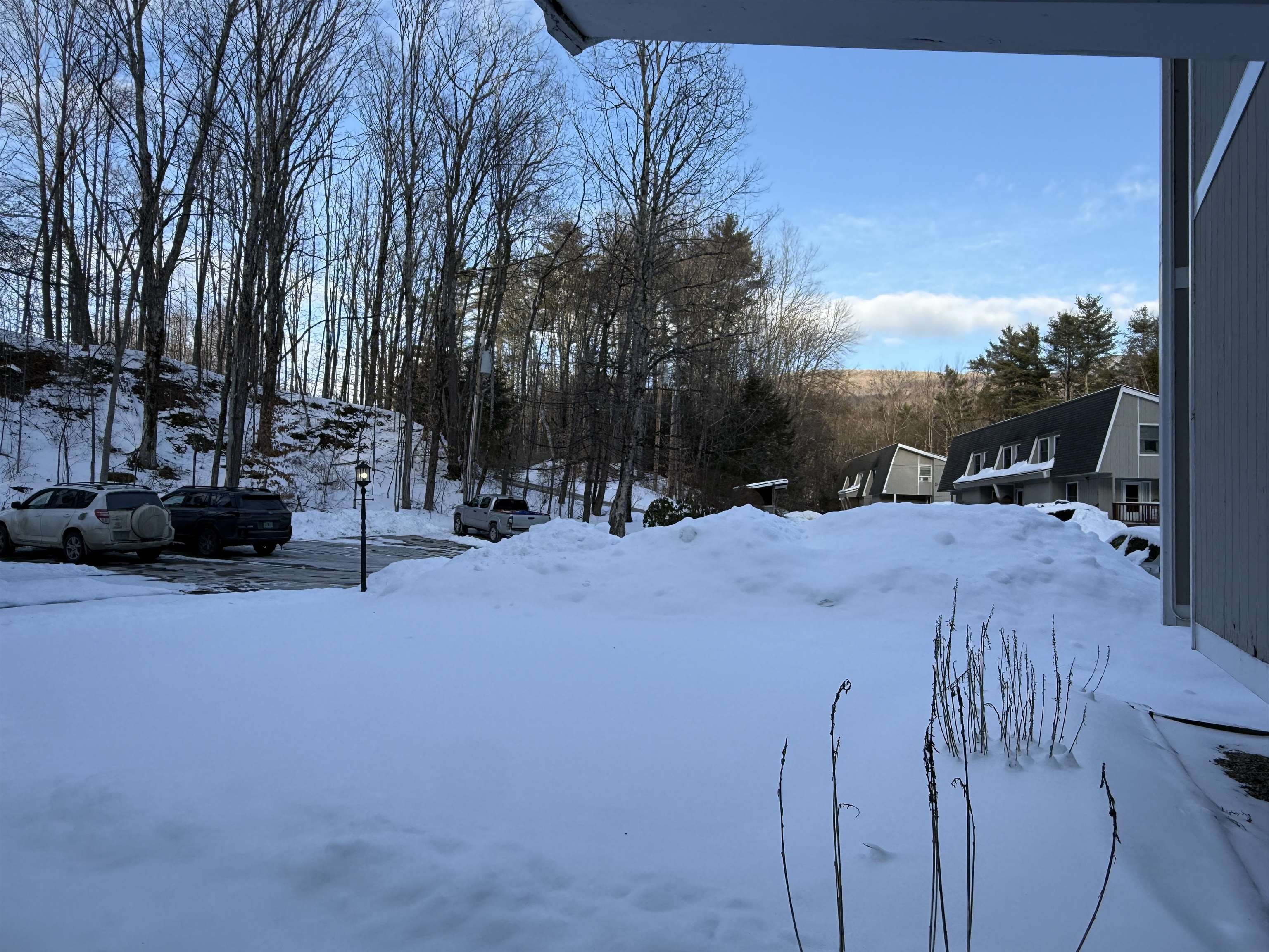 62 Silver Birch Place 3-B