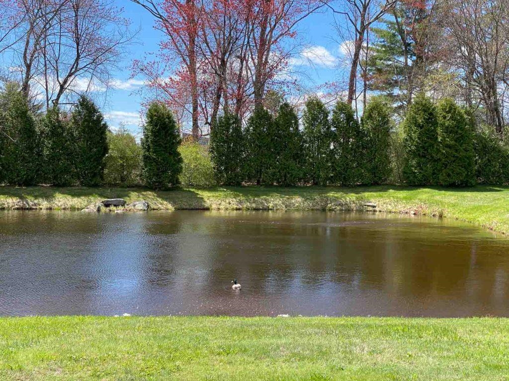 379 Huse Road 26