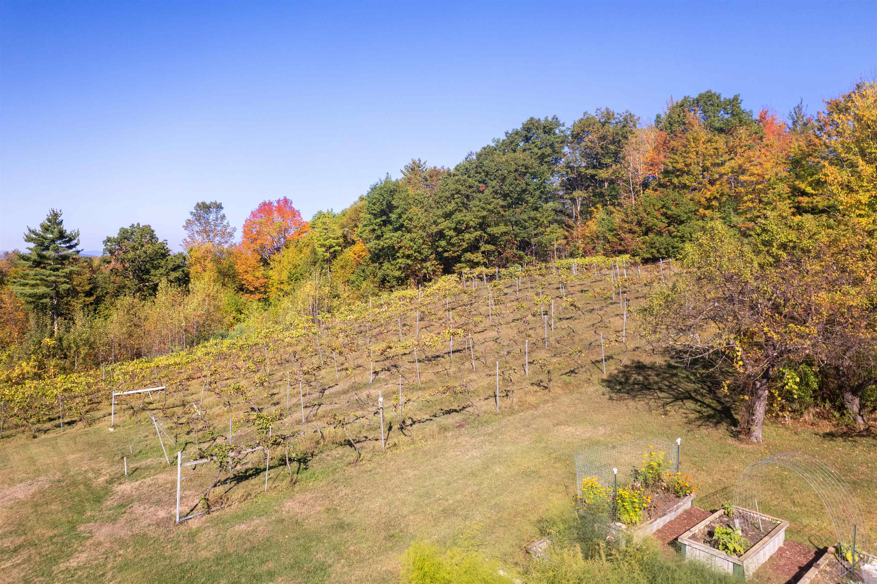 1975 Birch Hill Road