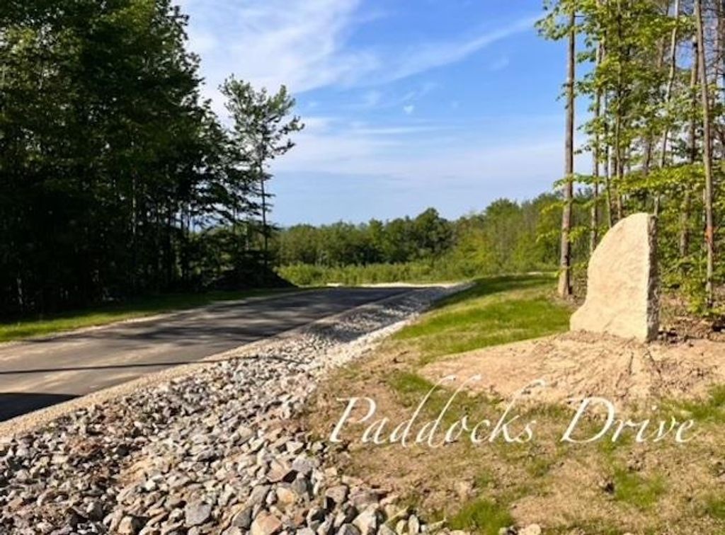 Photo of 29 Paddocks Drive, Gilford, NH 03249 (MLS # 5075694)