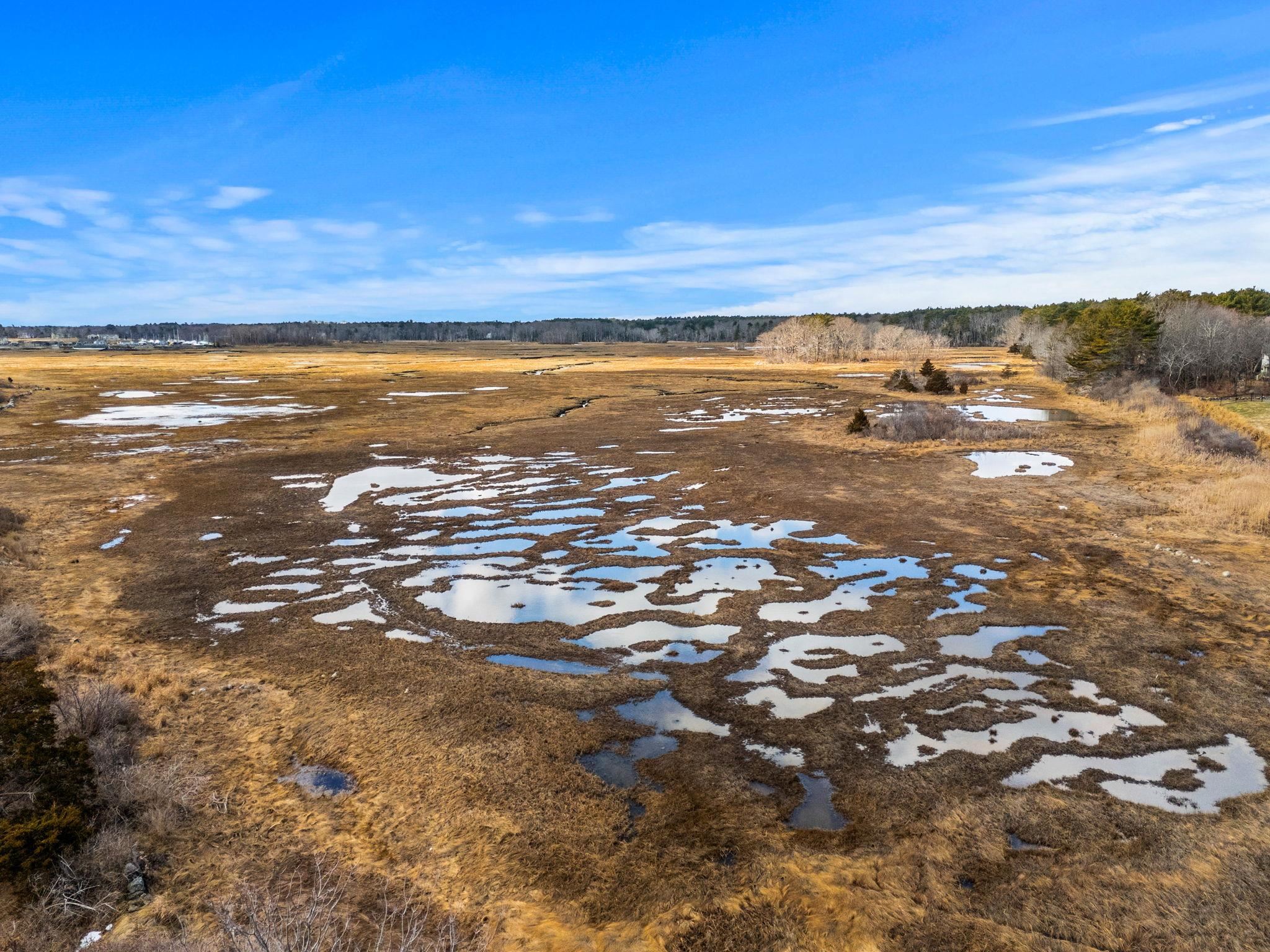 1515 Ocean Boulevard 4