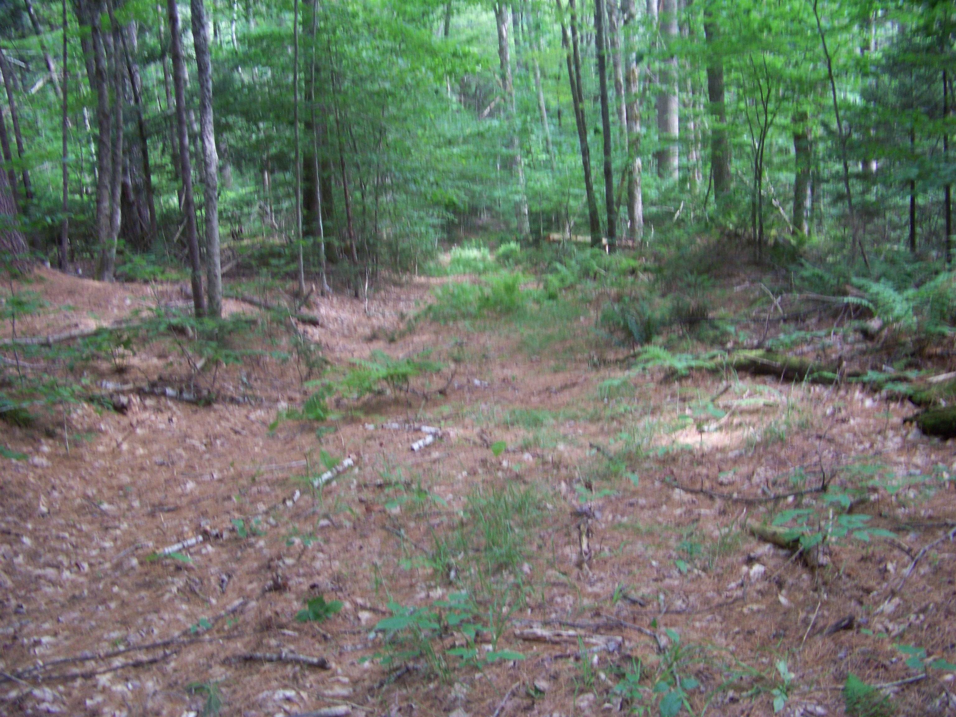 1003 Quarry Hill Road